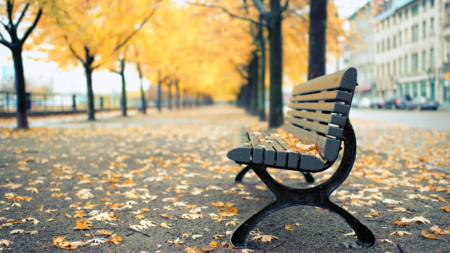 Desktop wallpaper: Man Made, Bench 4K free download for PC. 617942