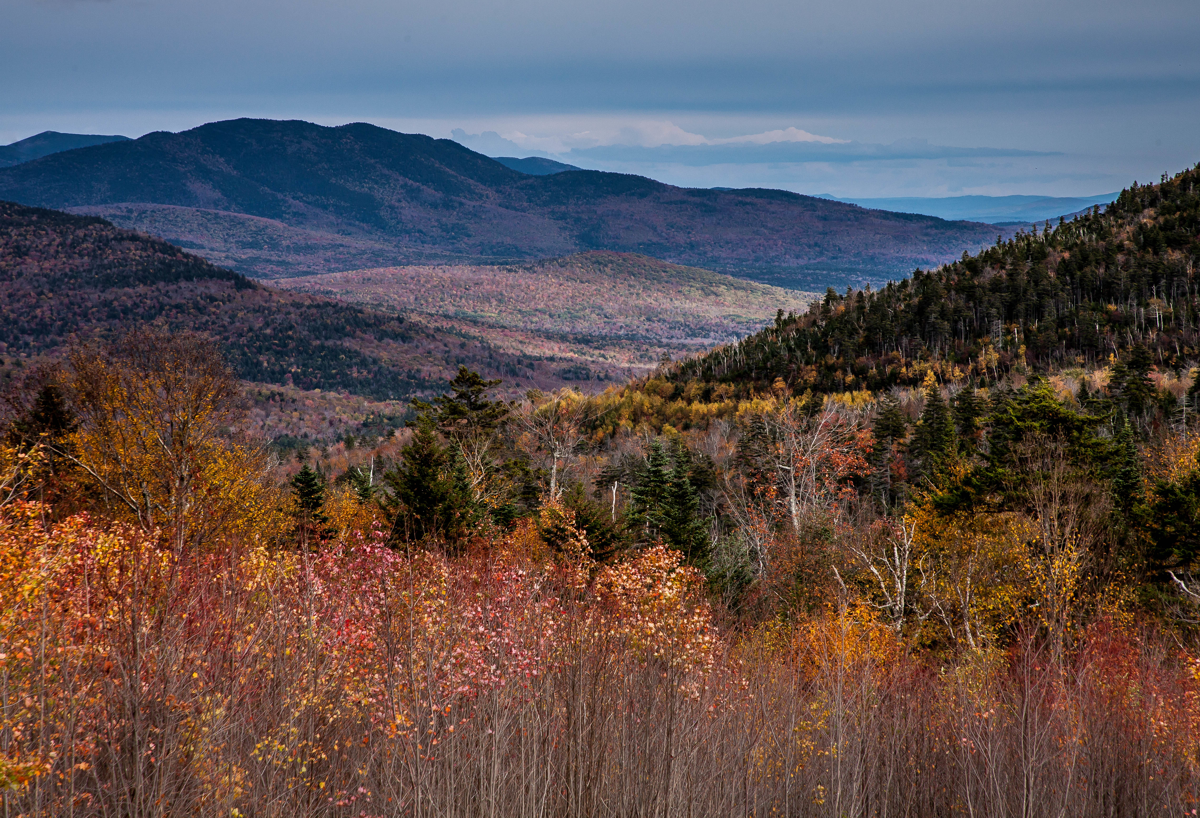 Baixe gratuitamente a imagem Natureza, Árvores, Montanhas, Outono, Floresta na área de trabalho do seu PC