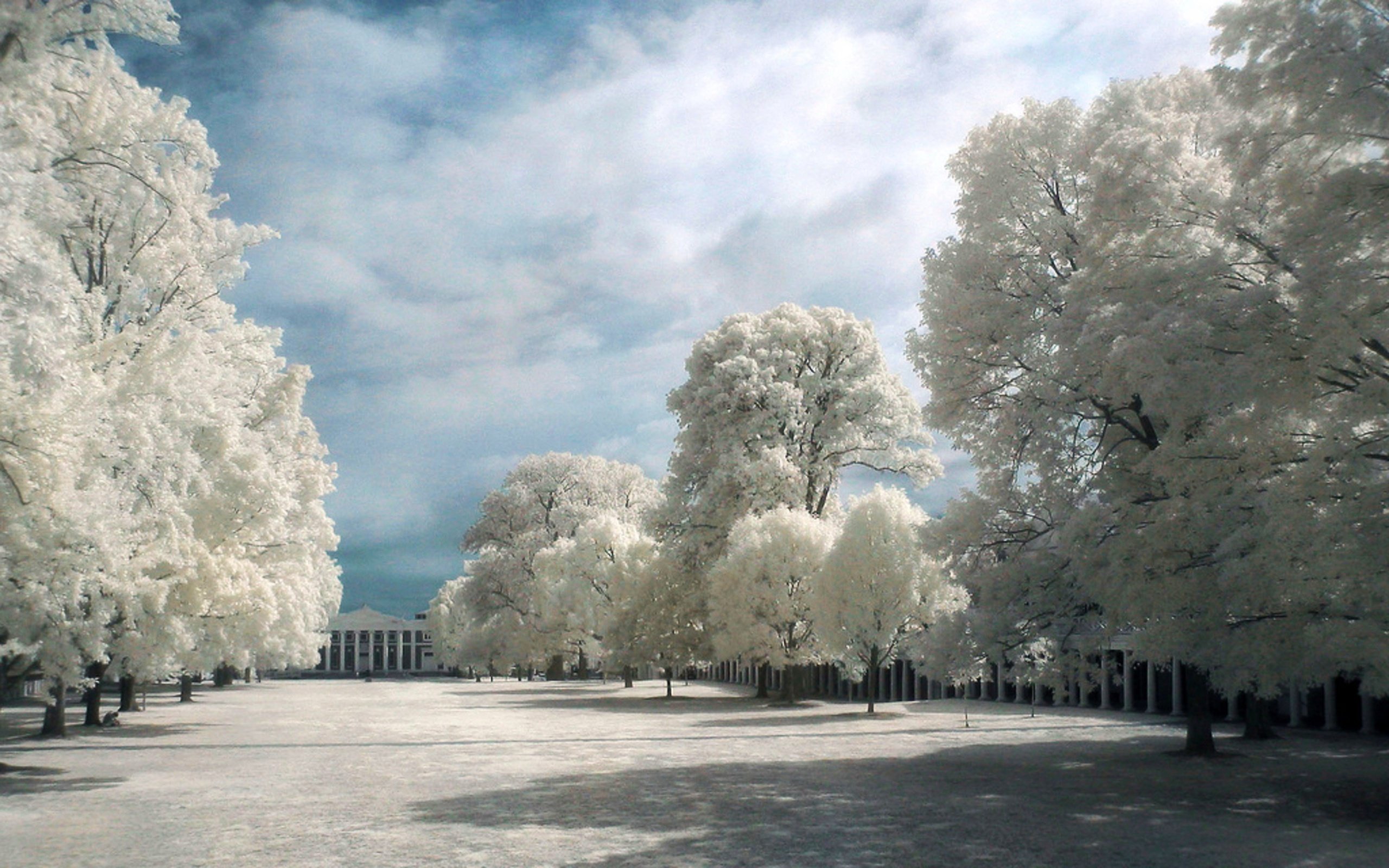 photography, infrared