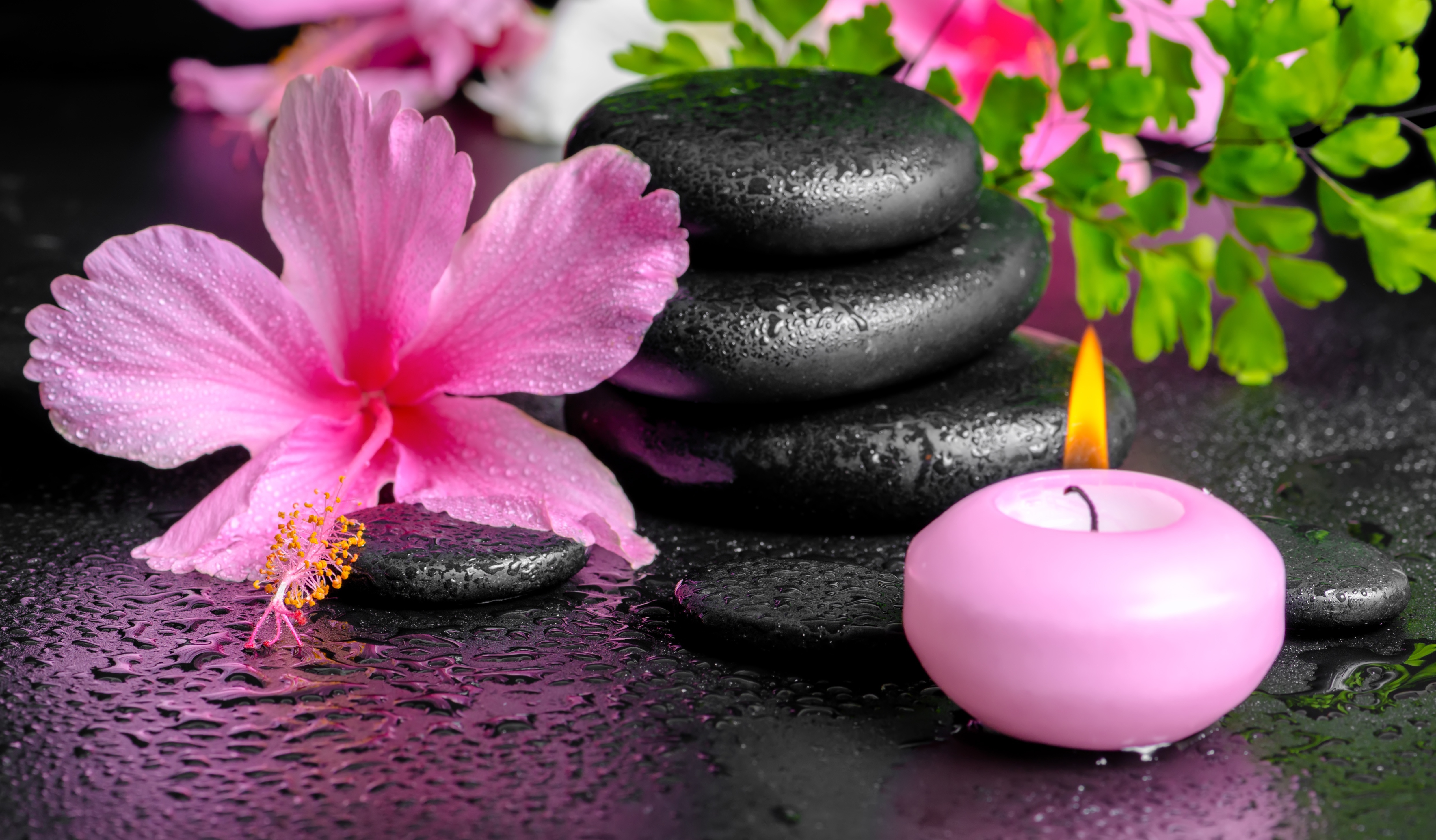 Free download wallpaper Still Life, Flower, Stone, Candle, Hibiscus, Spa, Man Made on your PC desktop
