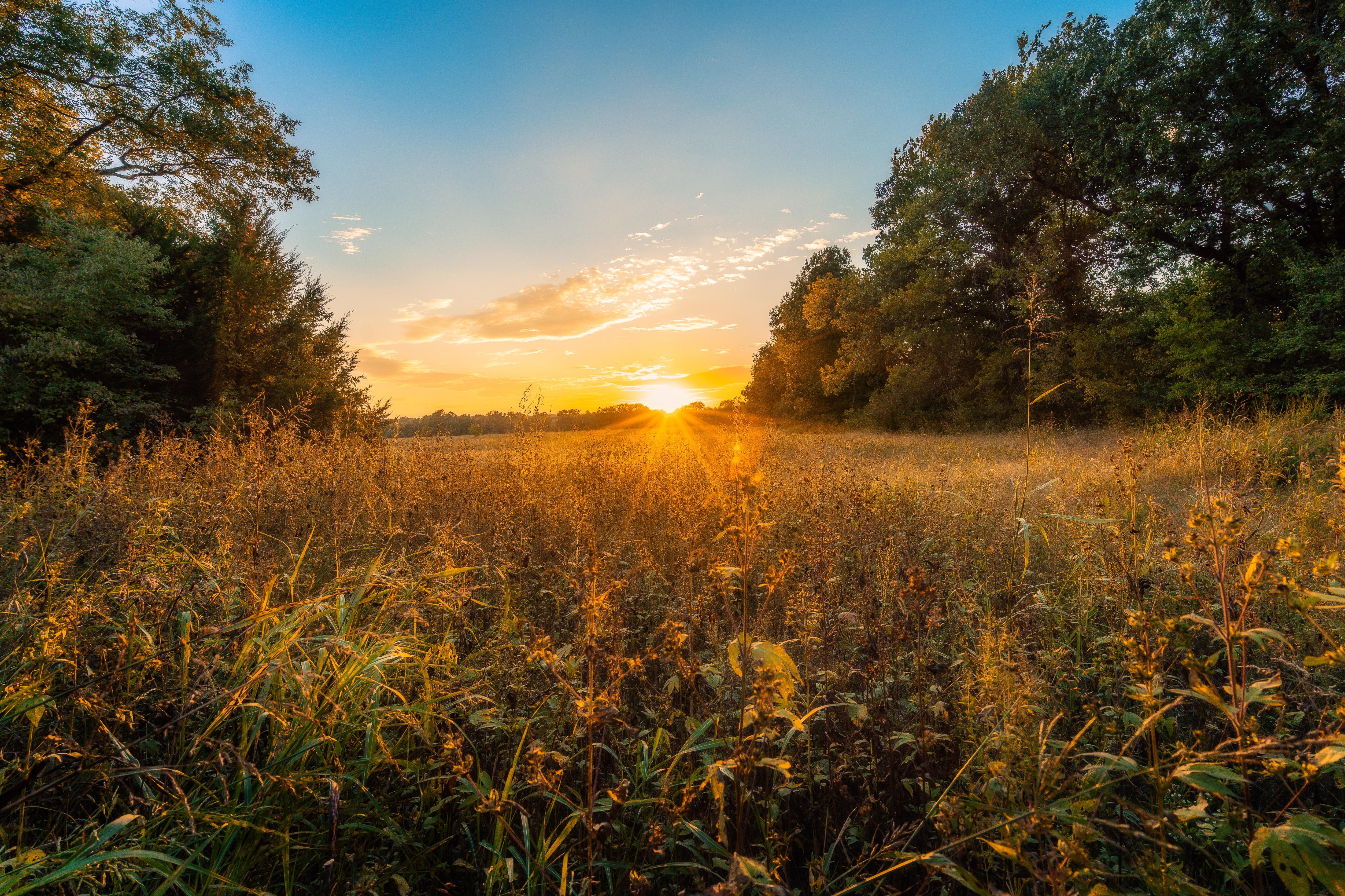 Download mobile wallpaper Sunset, Grass, Sky, Earth, Sunbeam for free.