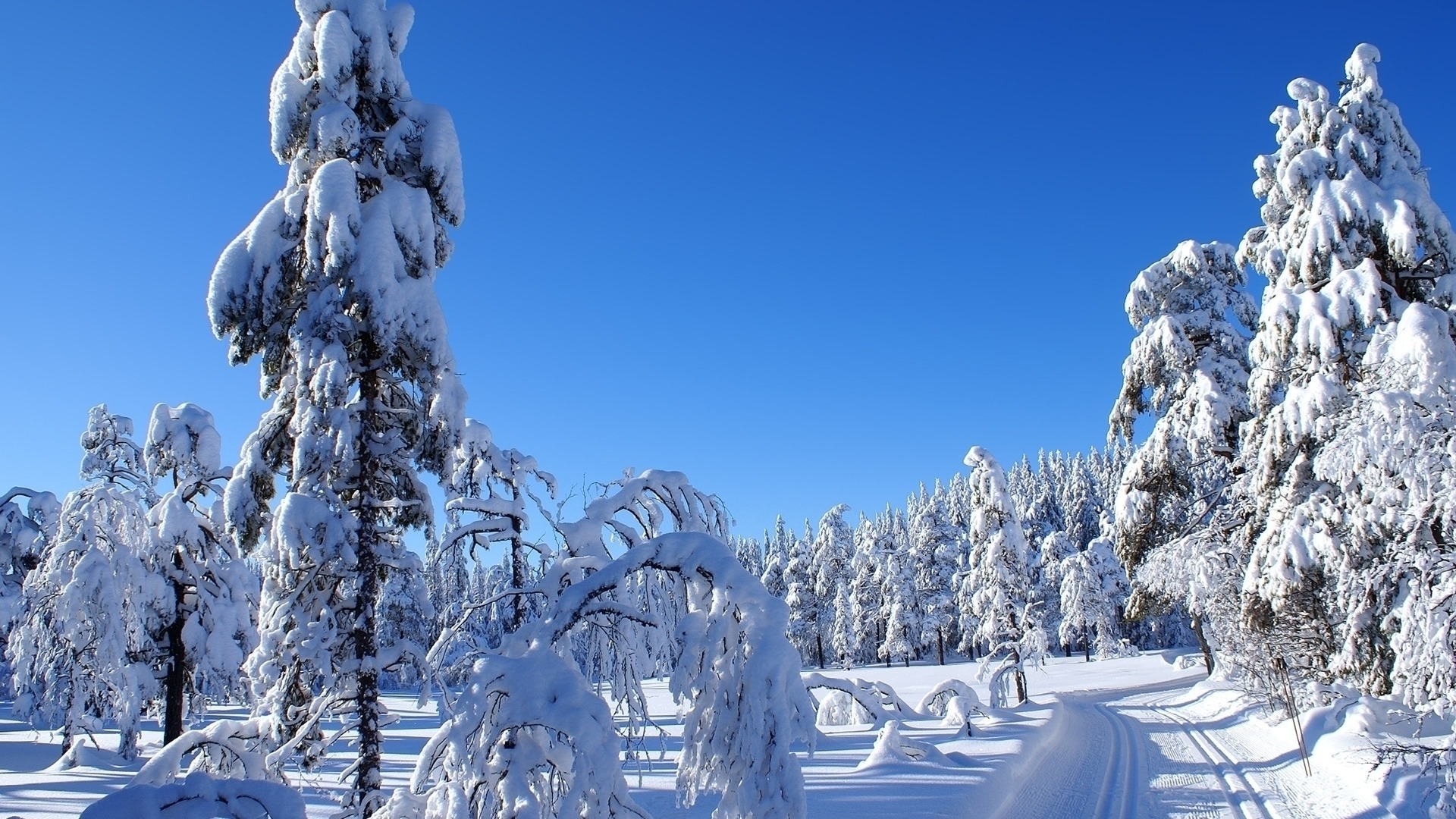 Скачать обои бесплатно Зима, Снег, Дорога, Лес, Дерево, Дорожка, Земля/природа картинка на рабочий стол ПК