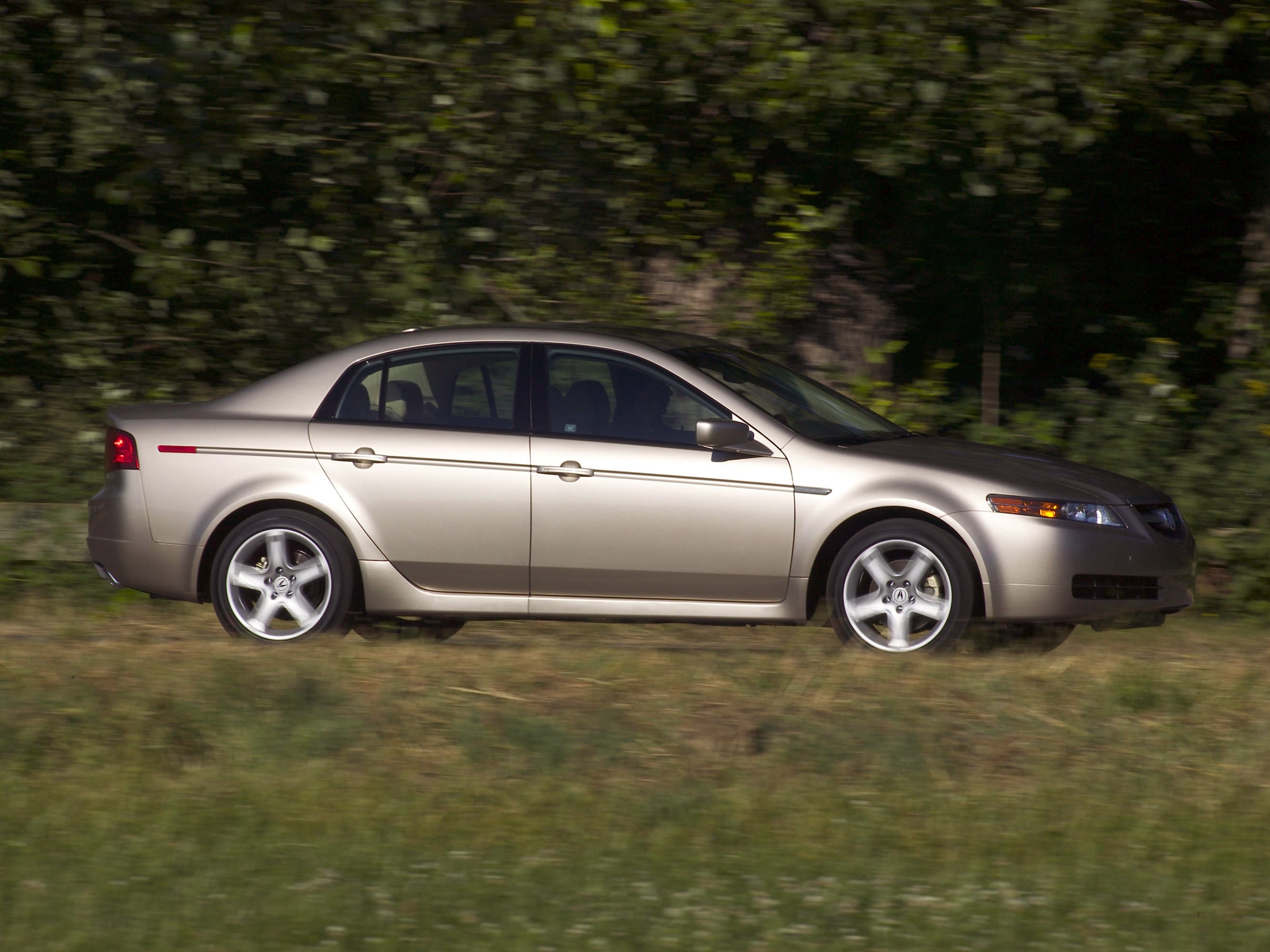 Download mobile wallpaper Akura, 2004, Tl, Silver Metallic, Acura, Grass, Style, Side View, Trees, Auto, Nature, Cars for free.