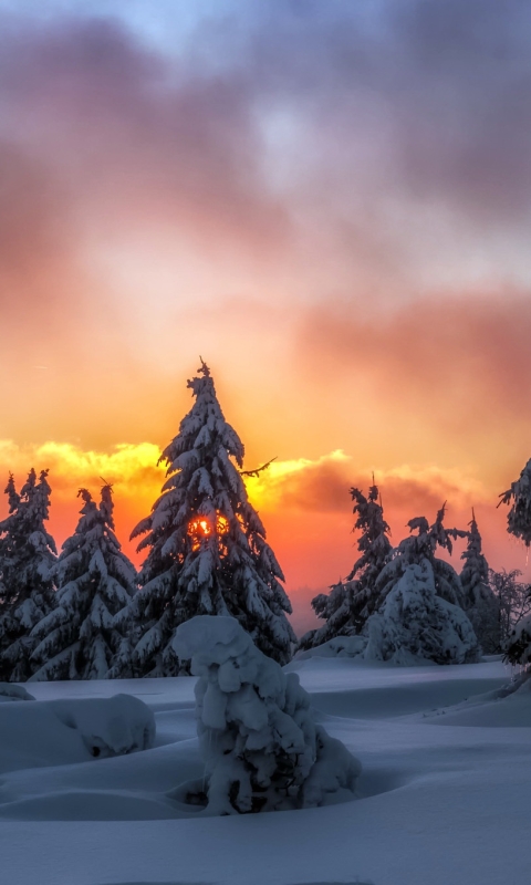 Download mobile wallpaper Winter, Nature, Sunset, Snow, Tree, Earth, Cloud for free.