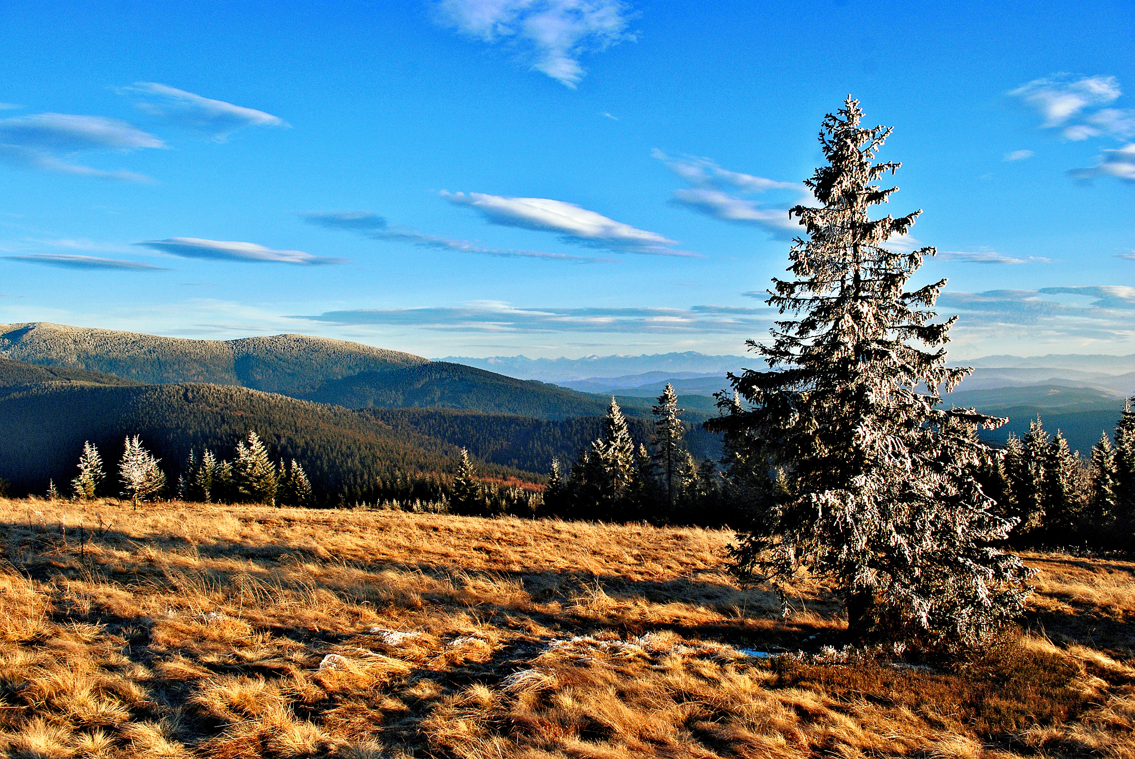 Laden Sie das Bäume, Grass, Sky, Natur, Mountains, Herbst-Bild kostenlos auf Ihren PC-Desktop herunter