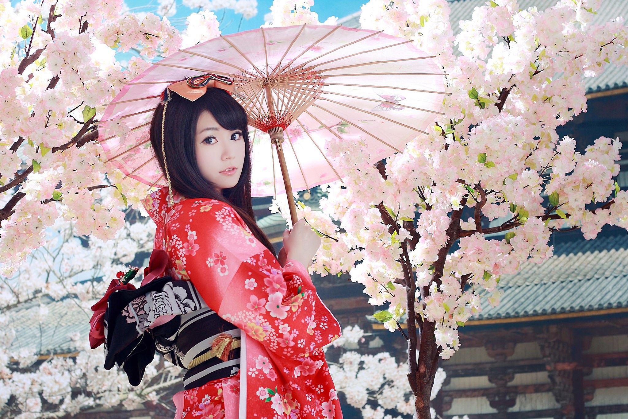 Download mobile wallpaper Flower, Umbrella, Kimono, Brunette, Model, Women, Blossom, Asian, Traditional Costume for free.