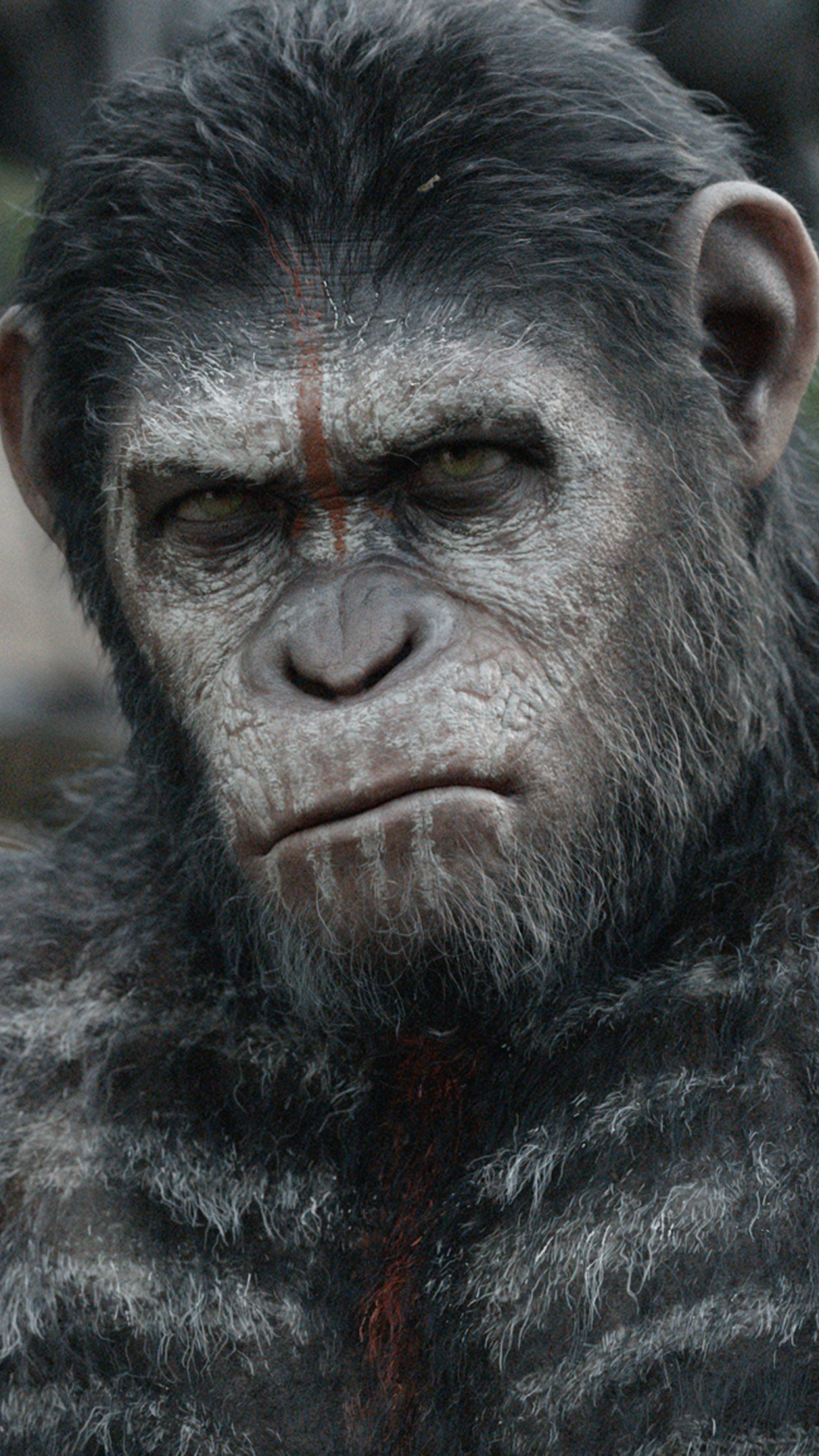 movie, dawn of the planet of the apes 1080p
