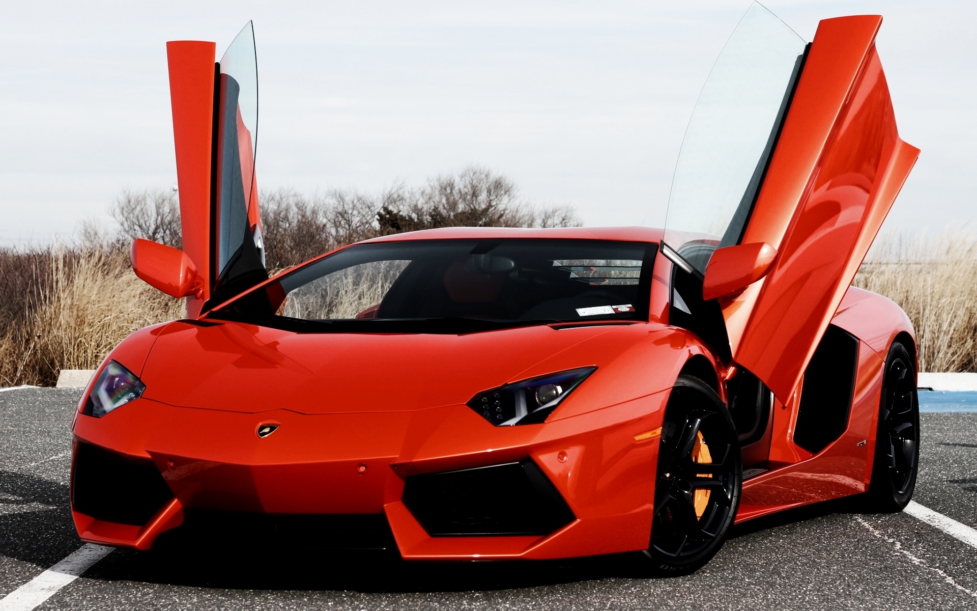 Download mobile wallpaper Vehicles, Lamborghini Aventador Lp 700 4 for free.