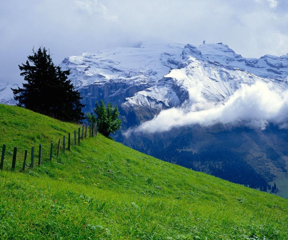 Téléchargez des papiers peints mobile Paysage, Terre/nature gratuitement.