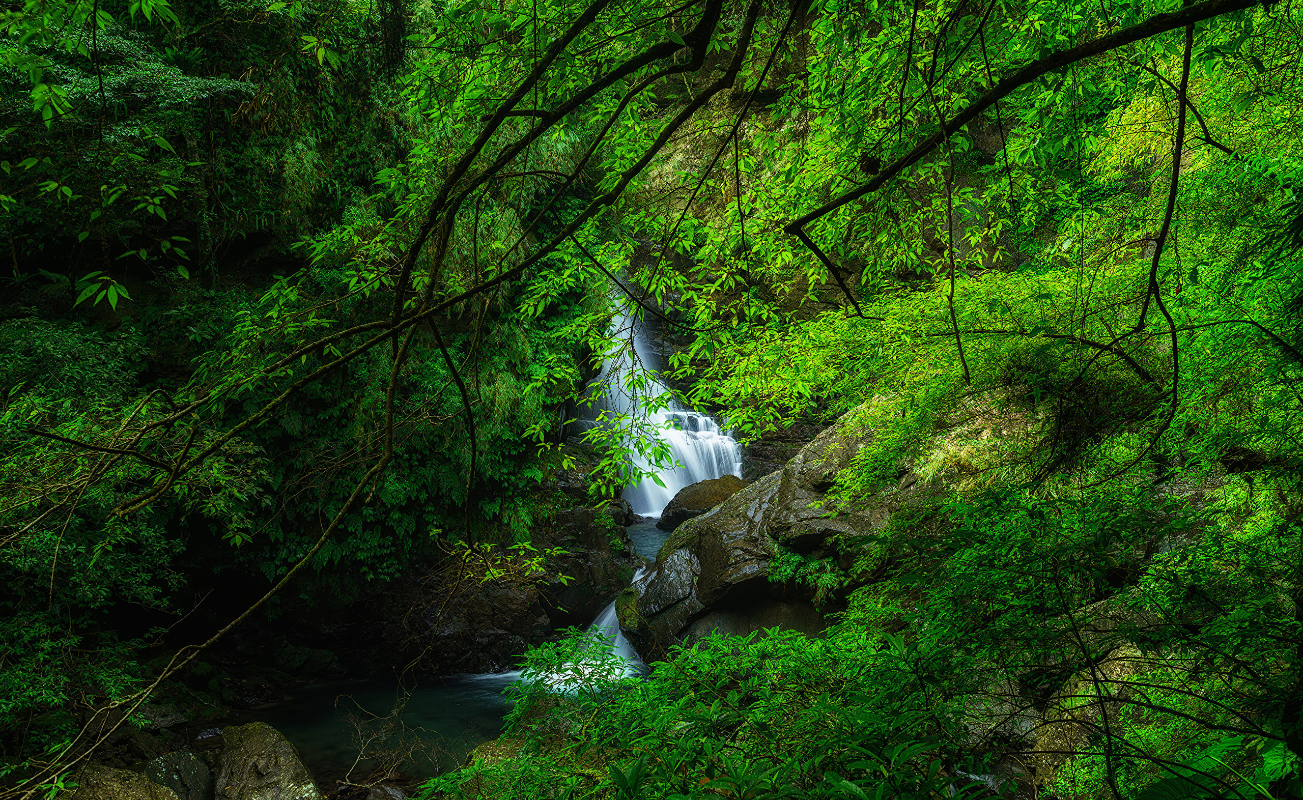 Скачать обои бесплатно Водопады, Водопад, Зелень, Земля/природа картинка на рабочий стол ПК