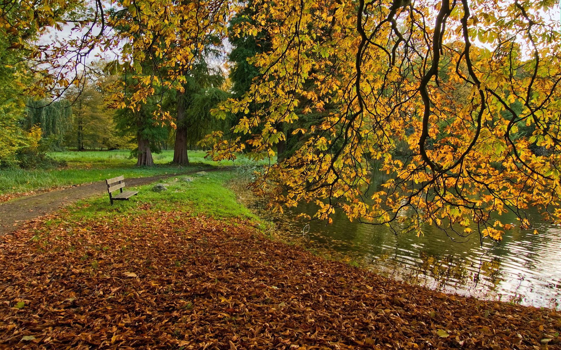 Baixe gratuitamente a imagem Natureza, Outono, Lago, Banco, Lagoa na área de trabalho do seu PC