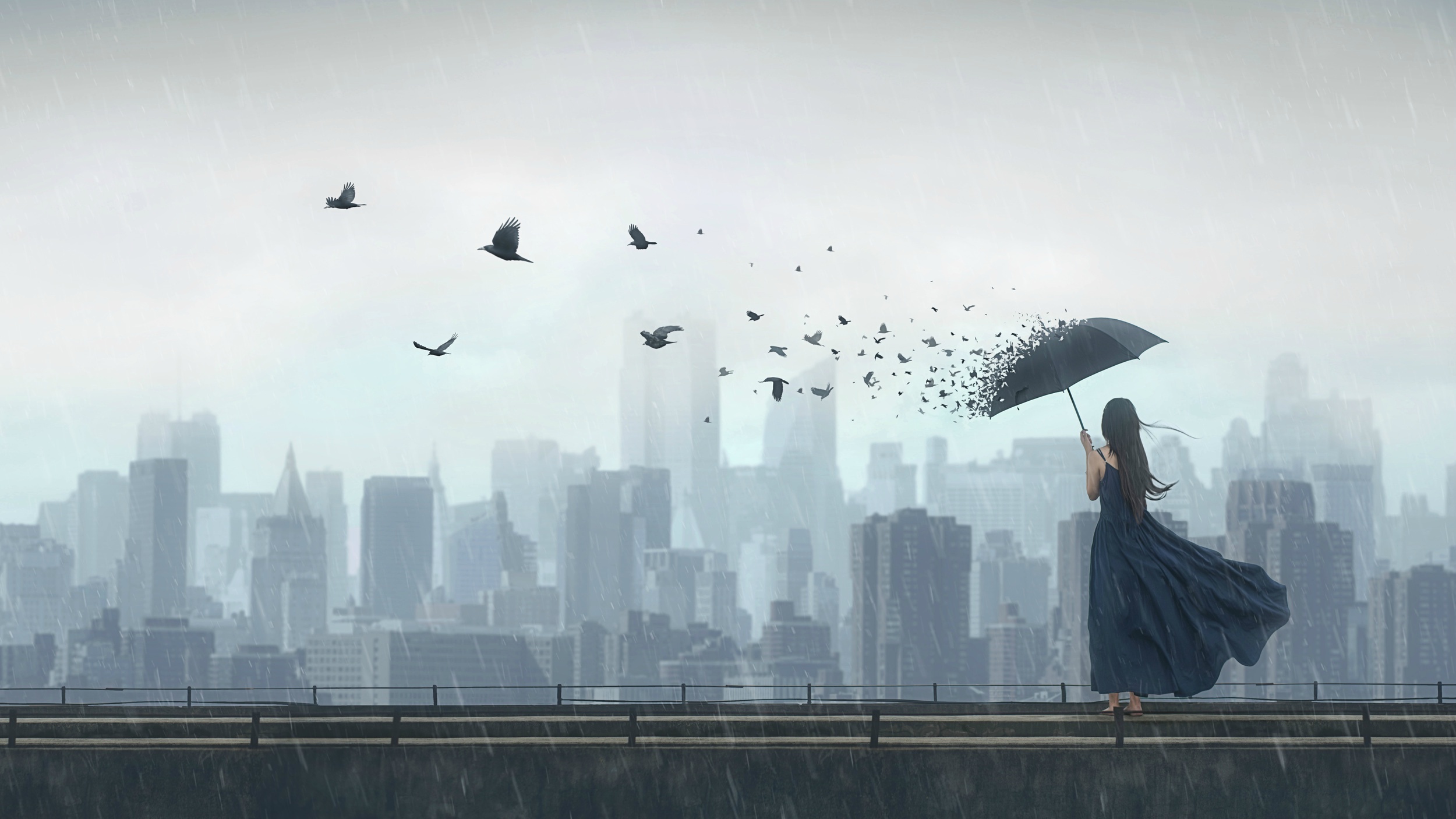 Download mobile wallpaper Rain, City, Bird, Umbrella, Photography, Manipulation, Black Dress for free.