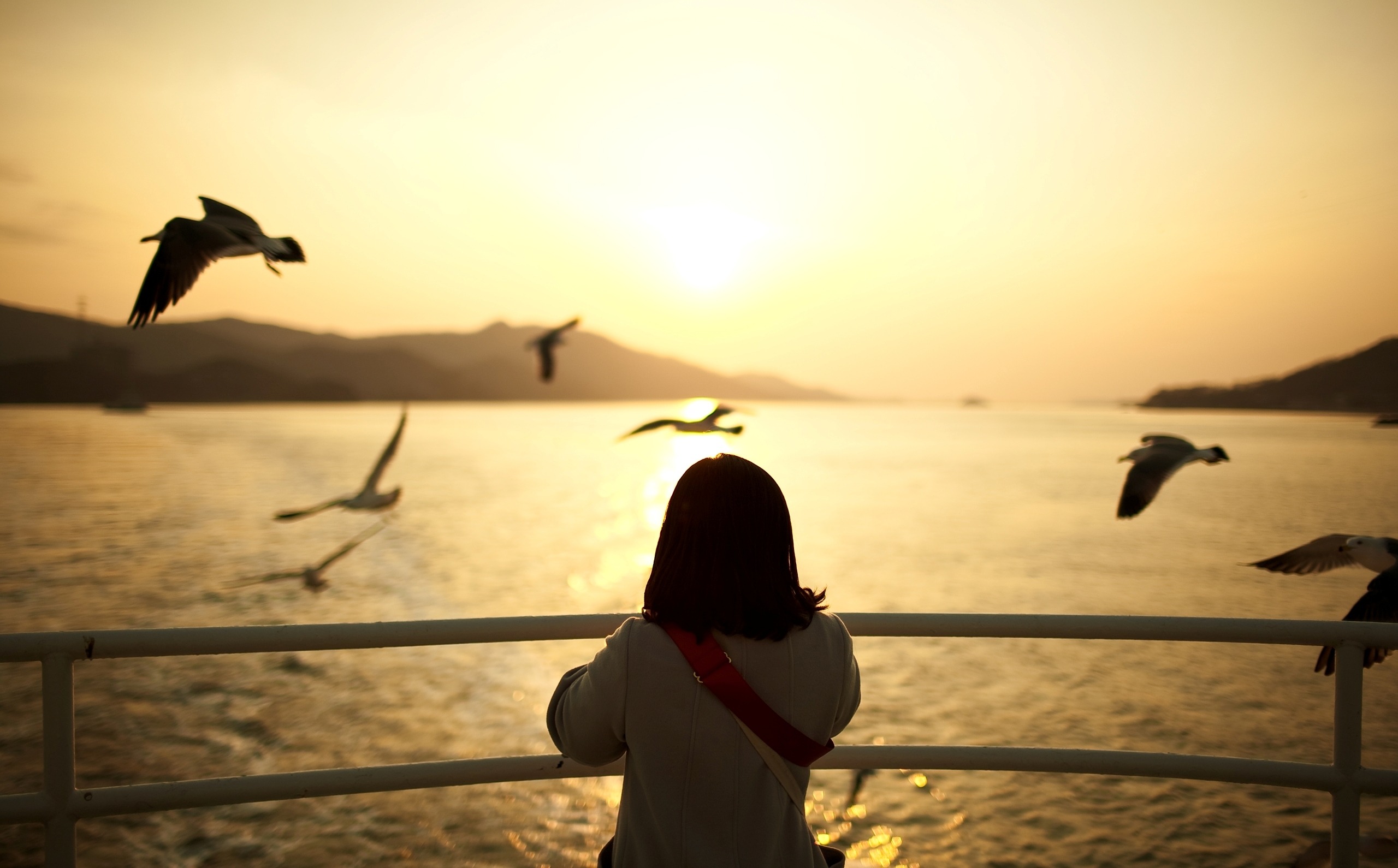 Laden Sie das Vogel, Kind, Schiff, Fotografie, Szene, Sonnenuntergang-Bild kostenlos auf Ihren PC-Desktop herunter