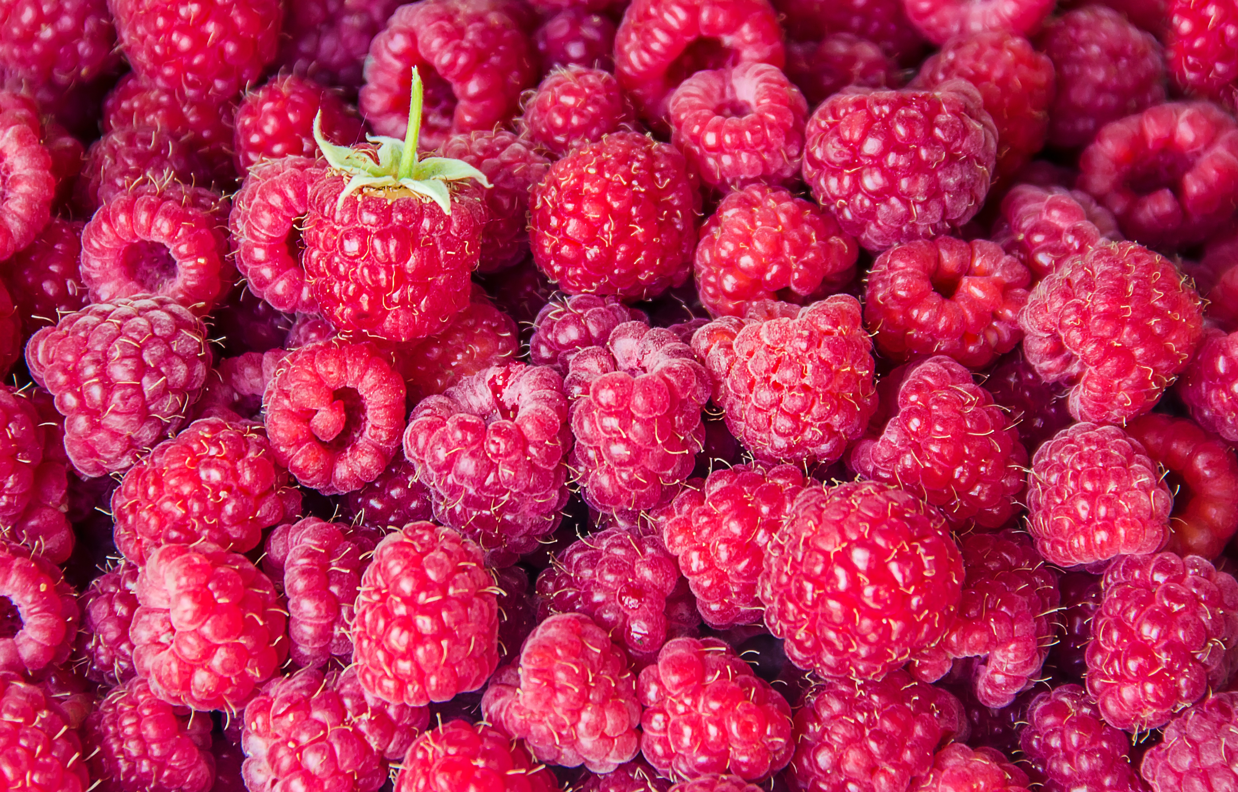 Download mobile wallpaper Fruits, Food, Raspberry, Close Up, Berry, Fruit for free.