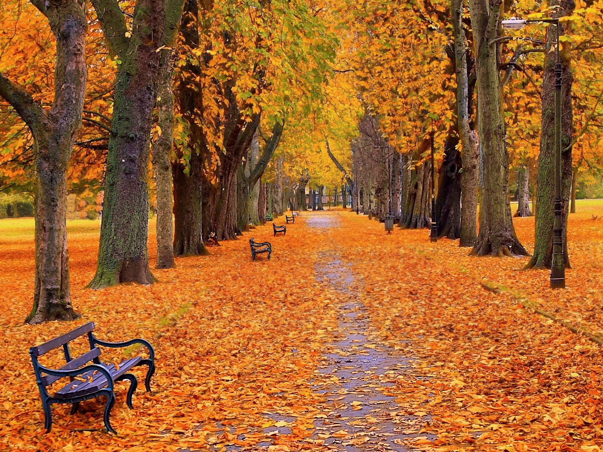 Free download wallpaper Park, Tree, Fall, Bench, Photography on your PC desktop