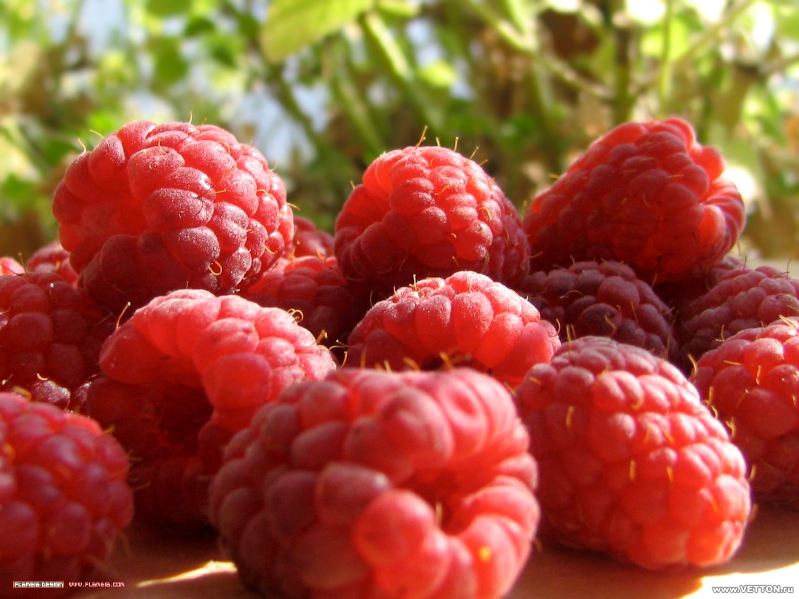 Free download wallpaper Food, Raspberry on your PC desktop