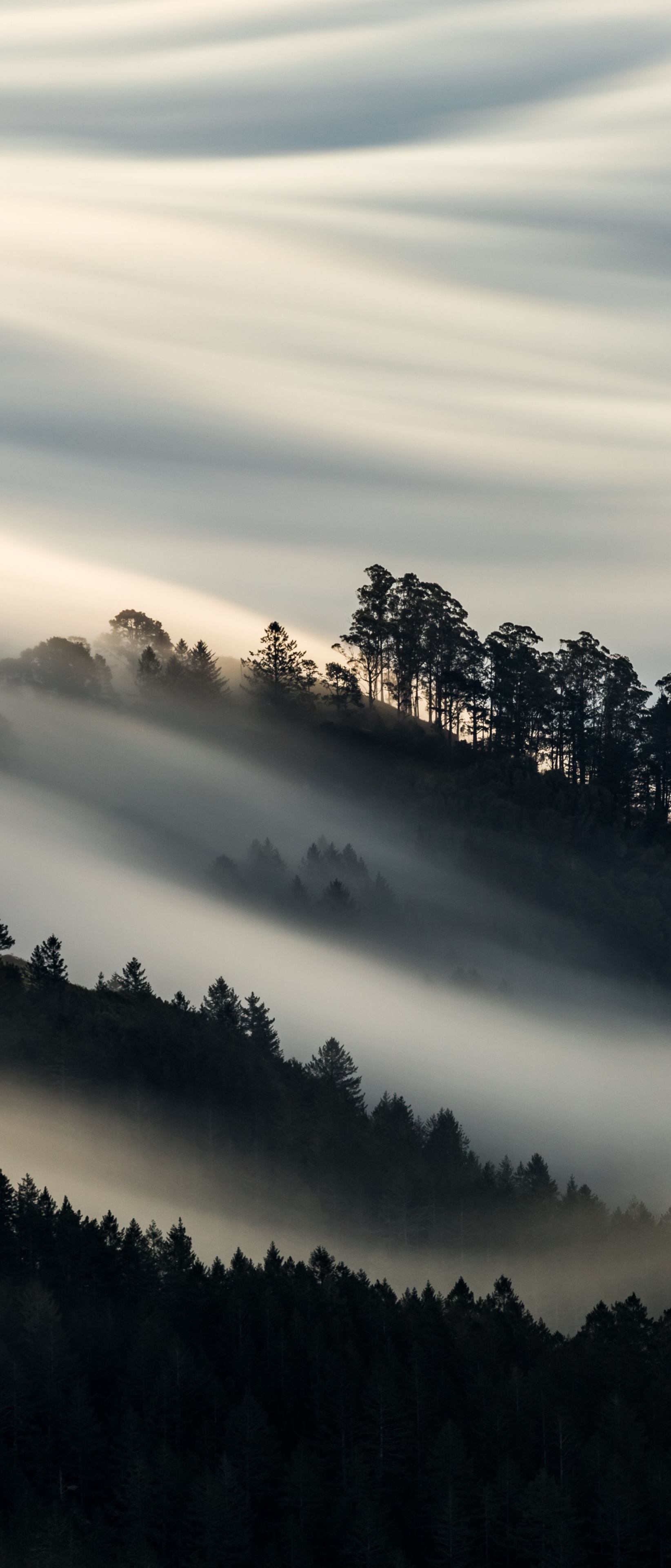 Handy-Wallpaper Natur, Nebel, Erde/natur kostenlos herunterladen.