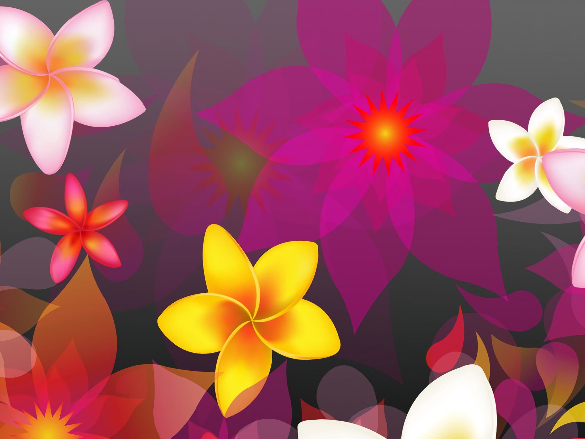 Handy-Wallpaper Blumen, Vektor, Blume, Farben, Bunt, Künstlerisch kostenlos herunterladen.