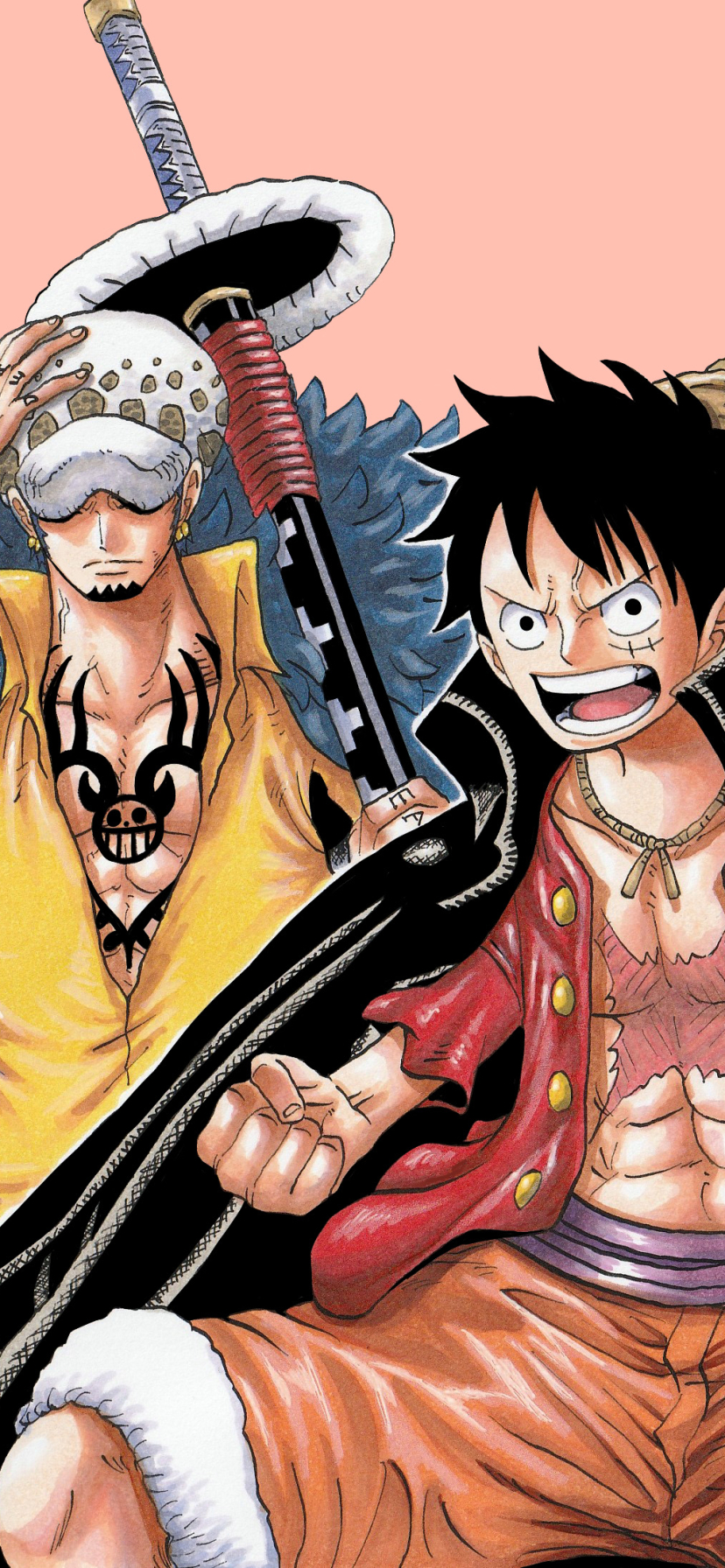 Download mobile wallpaper Anime, One Piece, Monkey D Luffy, Trafalgar Law, One Piece: Two Years Later for free.