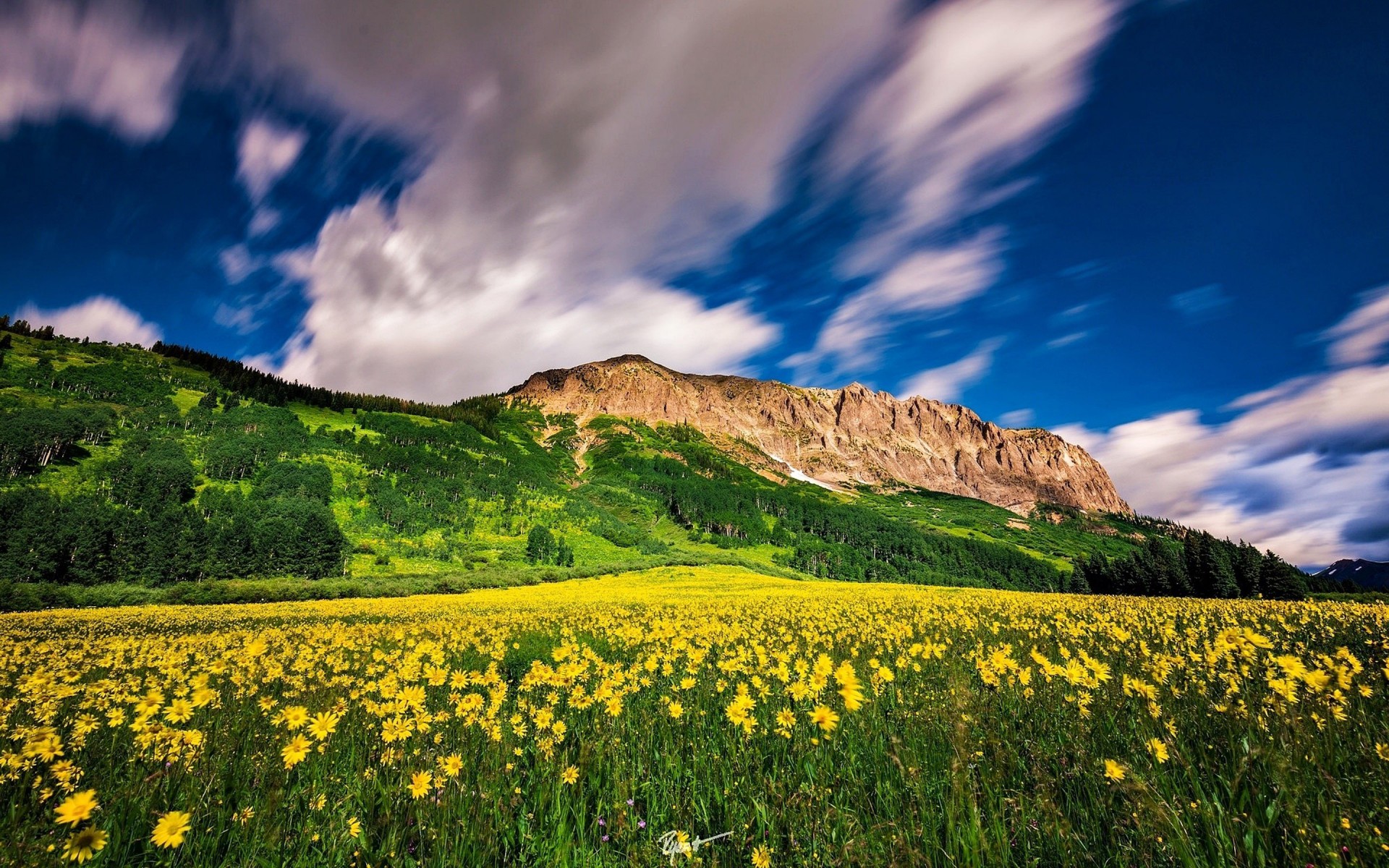 Скачать картинку Пейзаж, Гора, Цветок, Поле, Ромашка, Желтый Цветок, Земля/природа в телефон бесплатно.