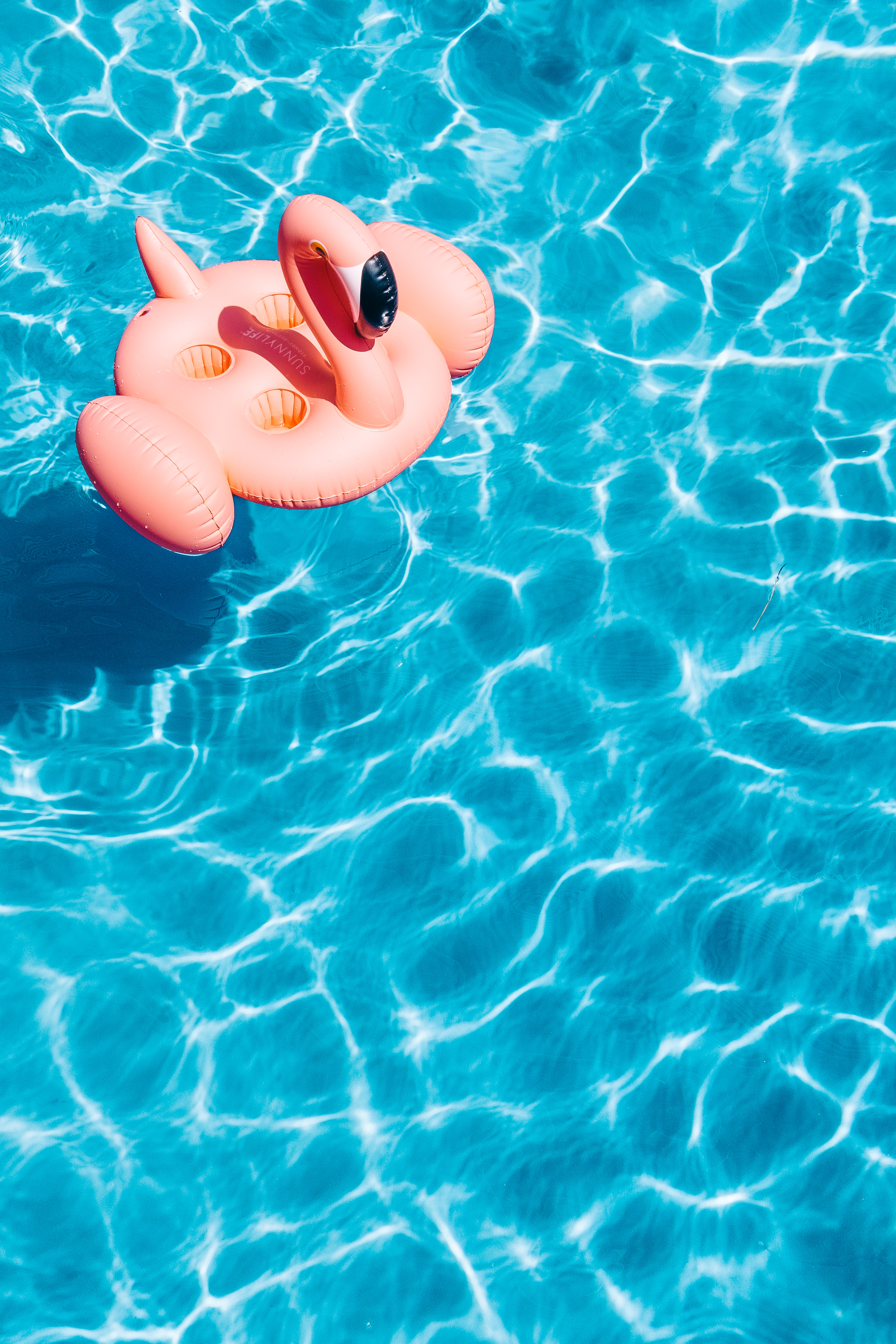 wallpapers minimalism, flamingo, water, pool, summer