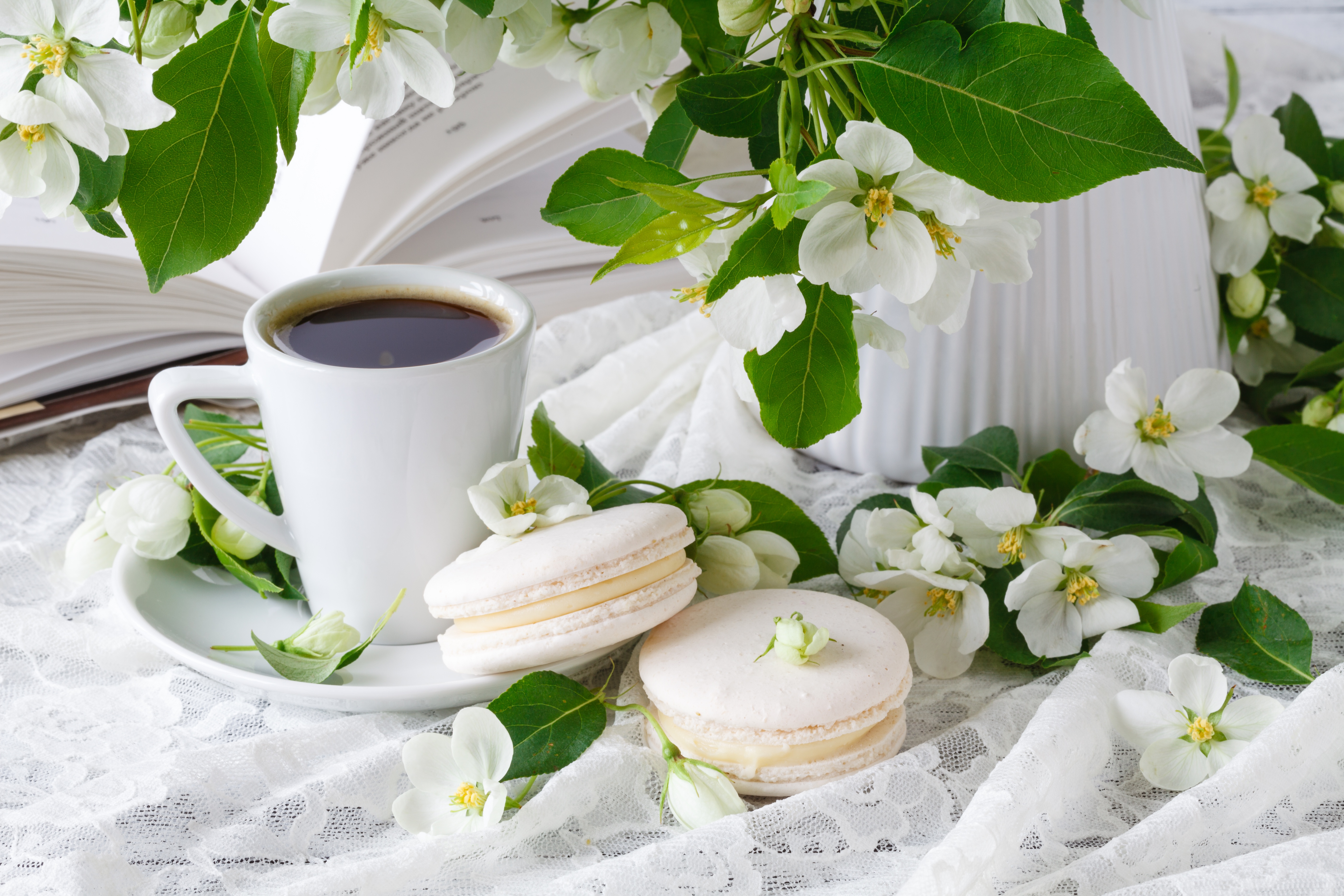 Download mobile wallpaper Food, Coffee, Still Life, White Flower, Macaron for free.