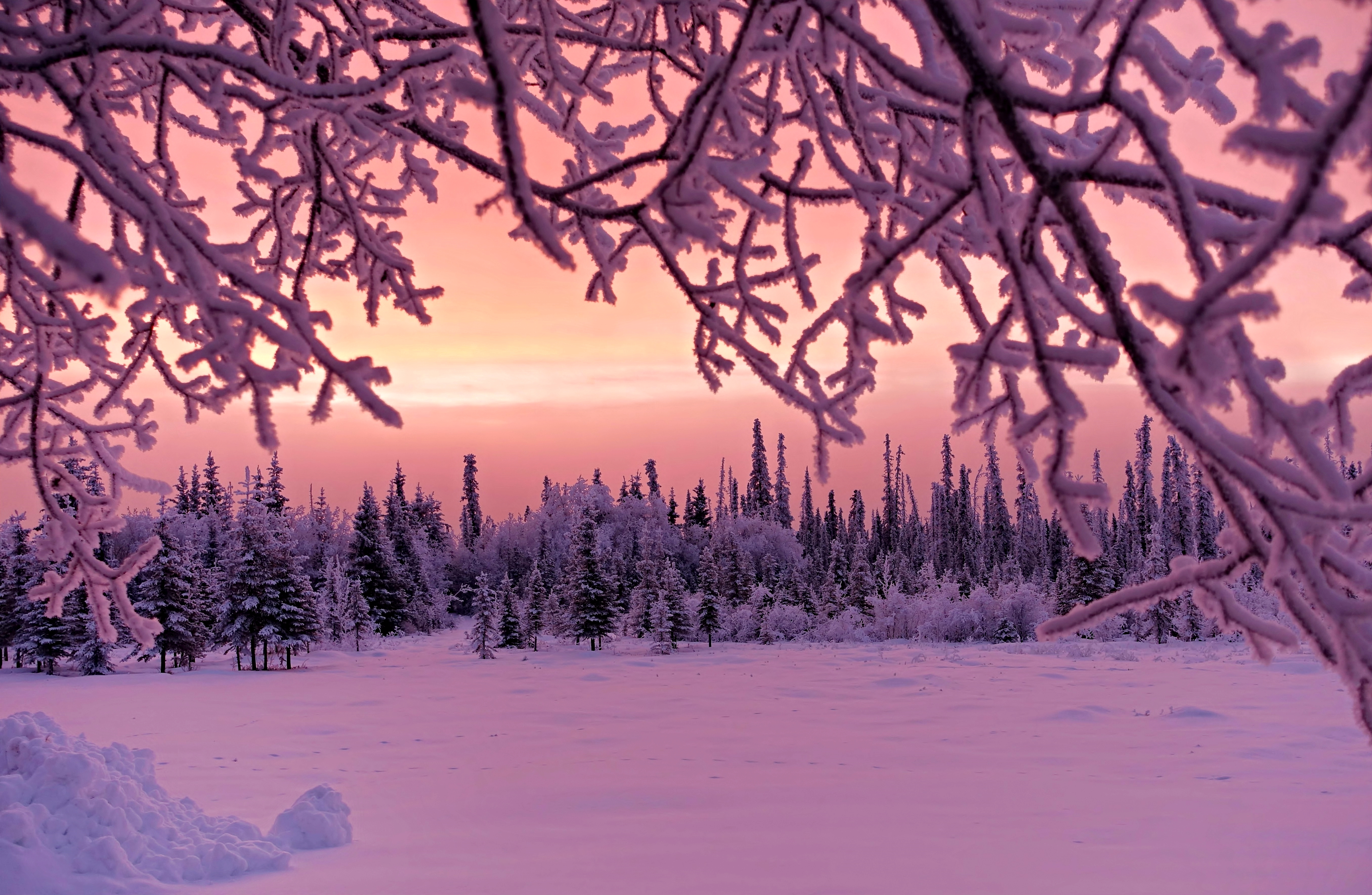 Descarga gratis la imagen Invierno, Nieve, Bosque, Atardecer, Tierra/naturaleza en el escritorio de tu PC