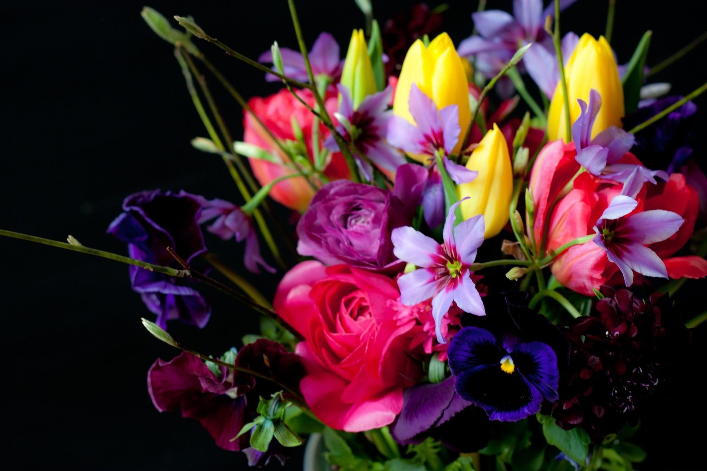 flowers, pansies, tulips, bouquet, black background, ranunculus, ranunkulus