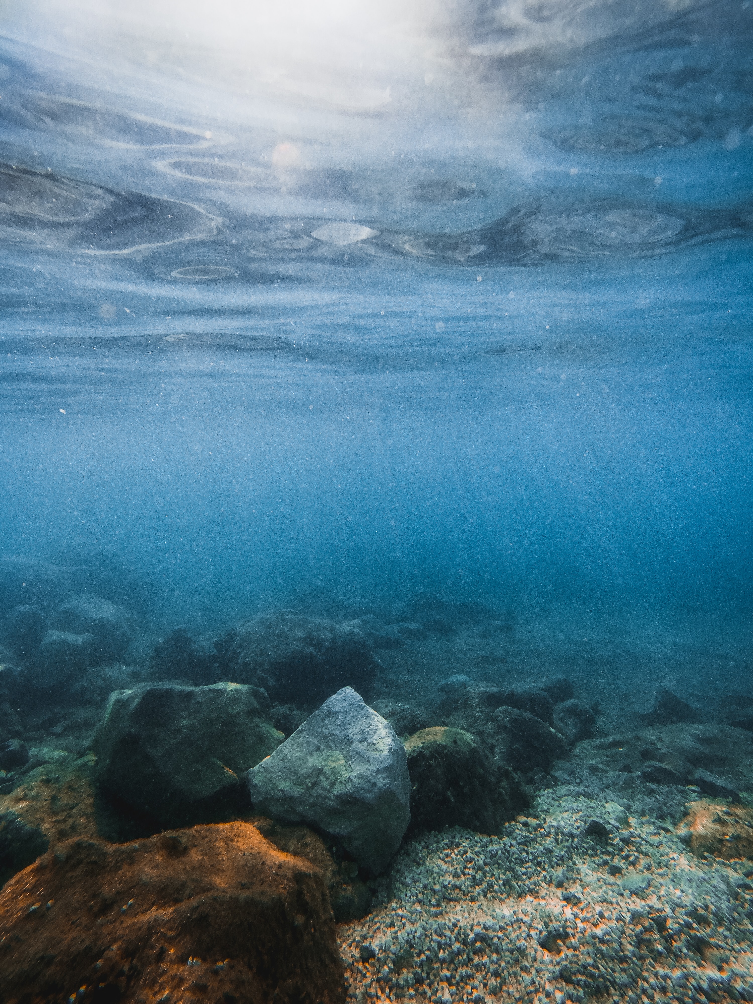 Underwater iPhone Background
