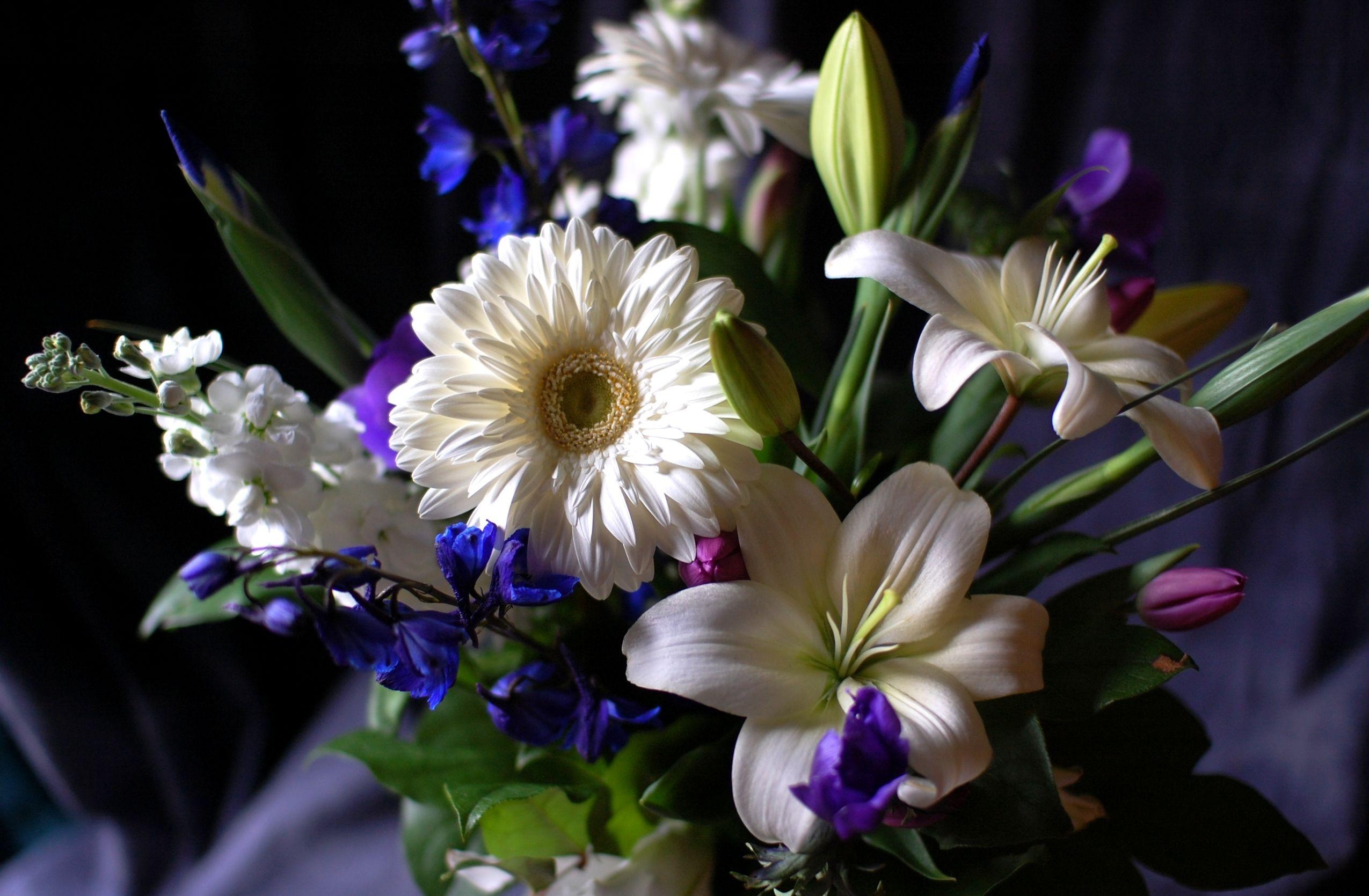 bouquet, flowers, lilies, gerberas, registration, typography, composition, levkoy, gillyflower