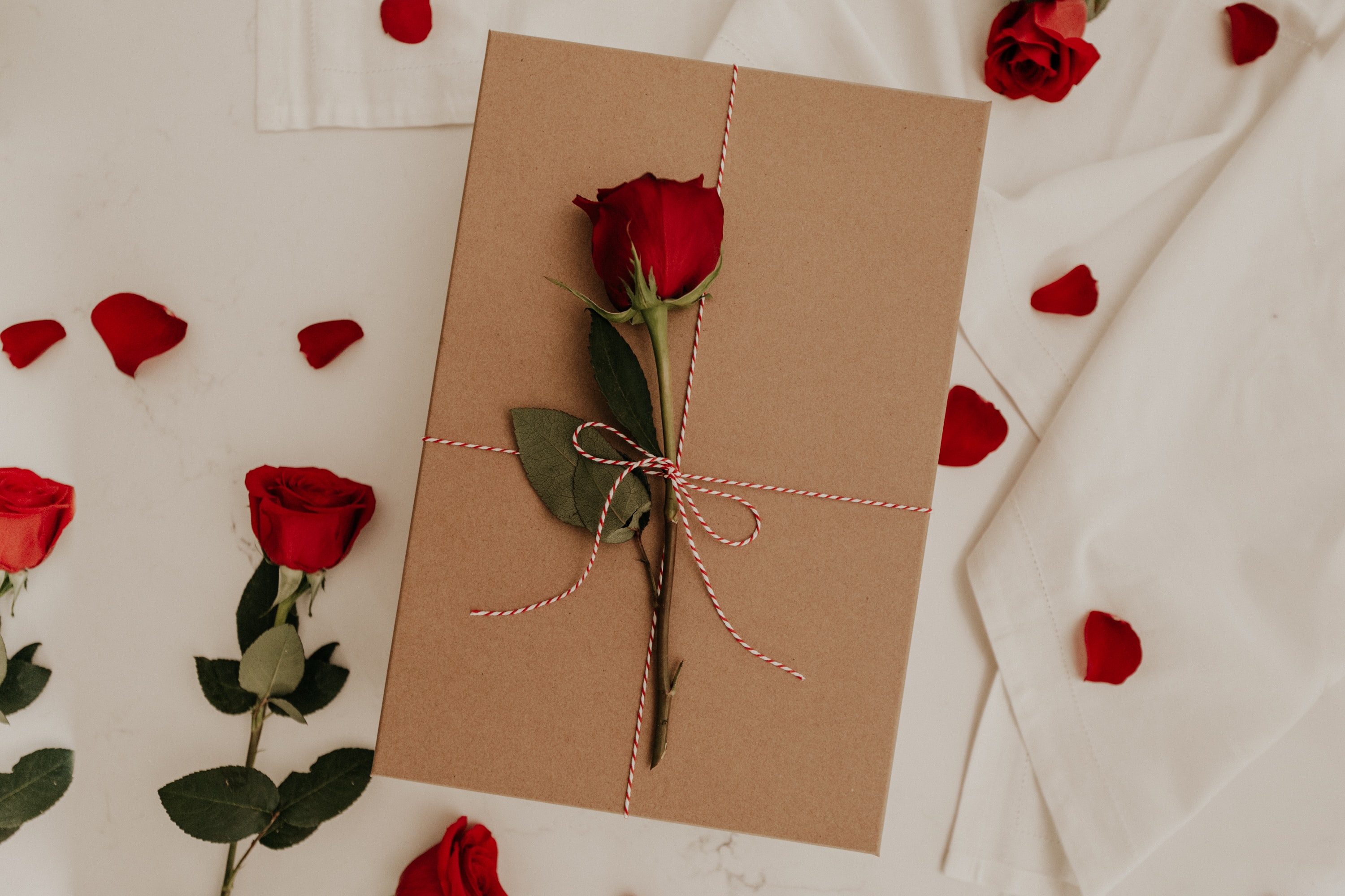 rose, rose flower, envelope, flowers, flower HD wallpaper