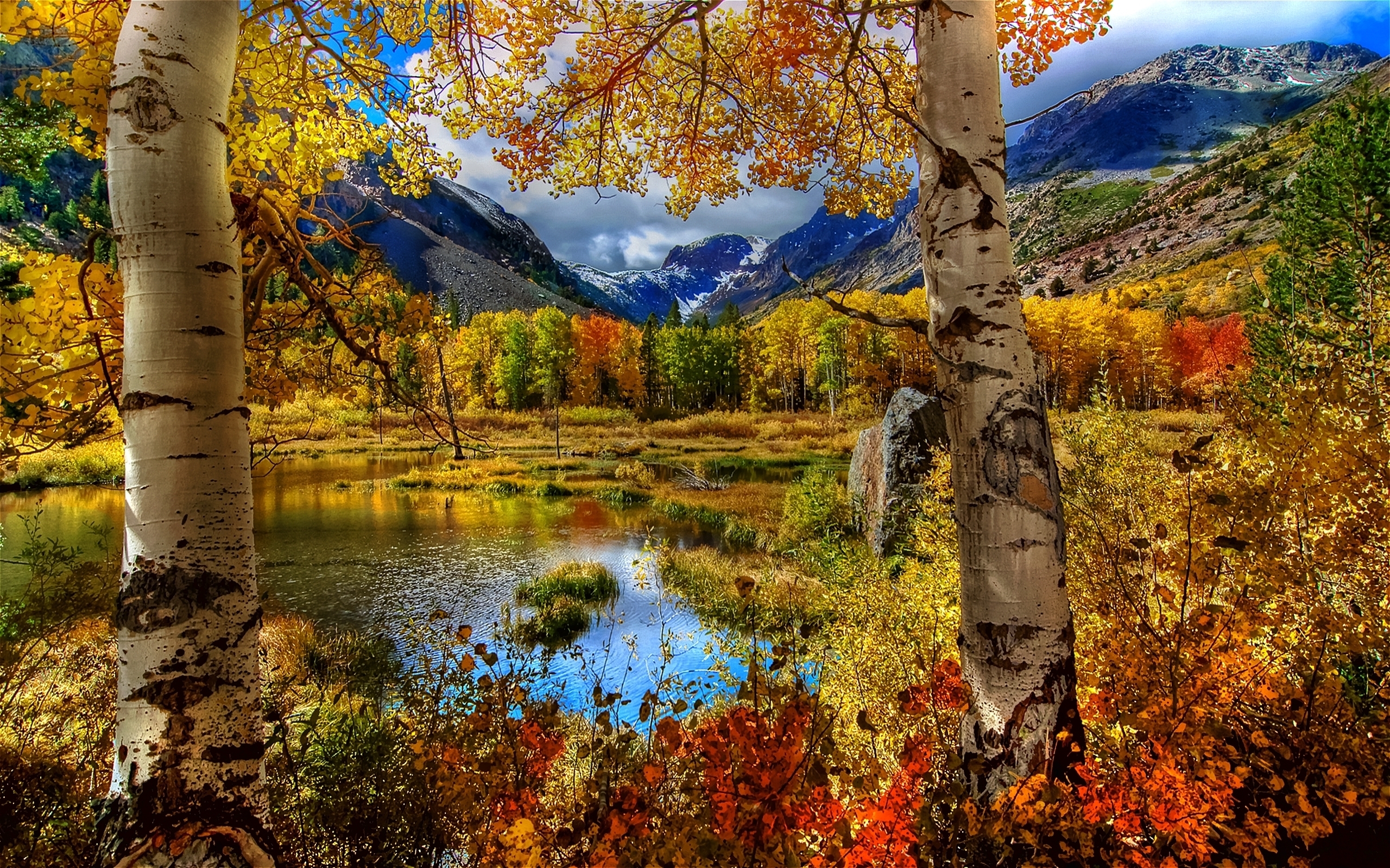24418 скачать обои березы, горы, осень, пейзаж, деревья, река - заставки и картинки бесплатно