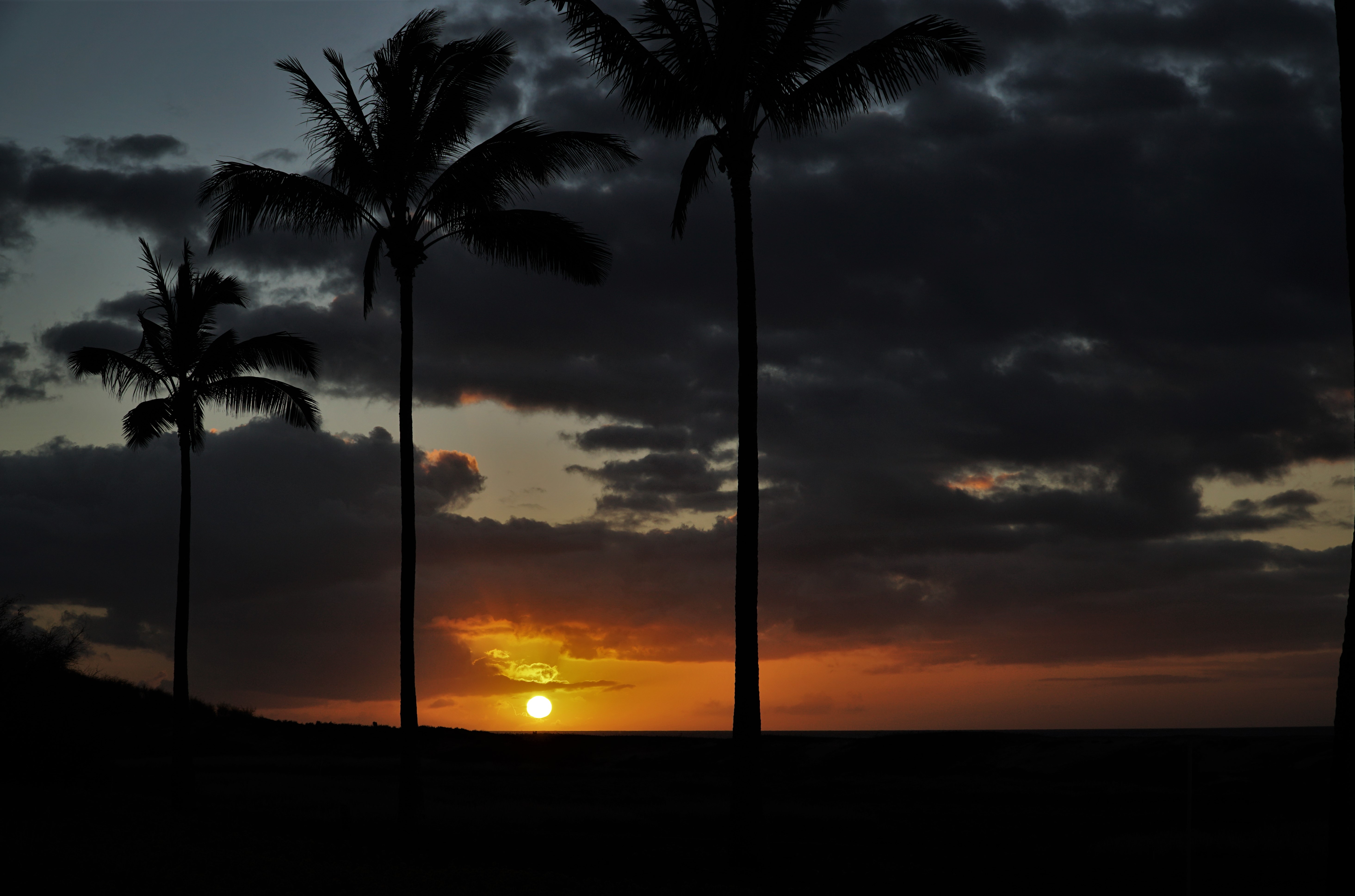 Download mobile wallpaper Clouds, Sky, Sunset, Palms, Sun, Dark for free.