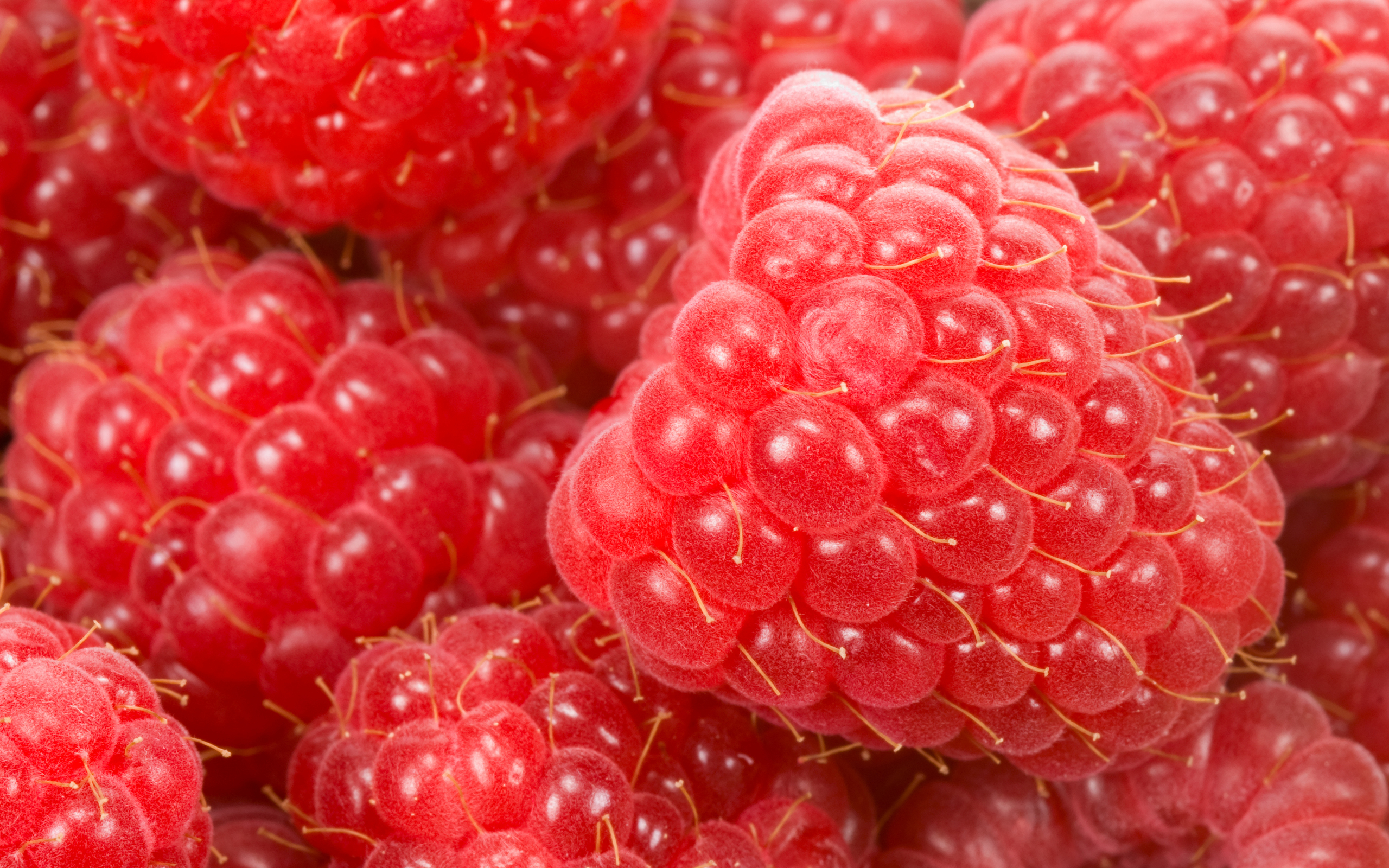 food, raspberry