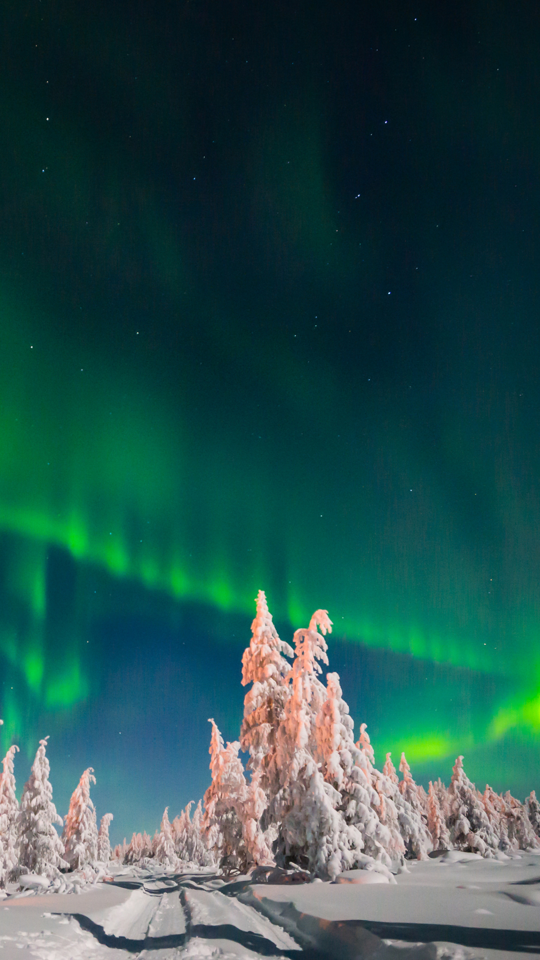 Download mobile wallpaper Winter, Nature, Sky, Night, Snow, Light, Tree, Starry Sky, Earth, Aurora Borealis for free.
