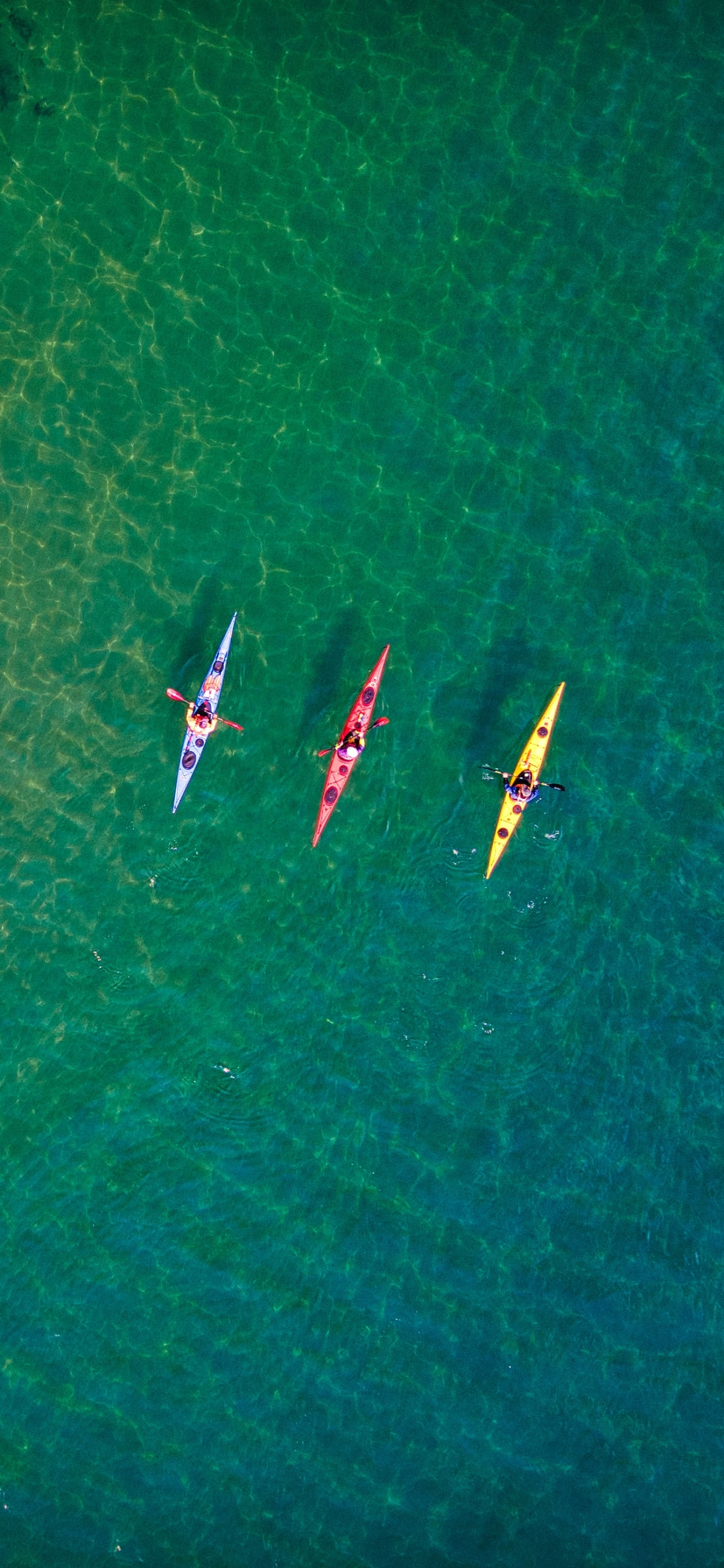 vehicles, kayak