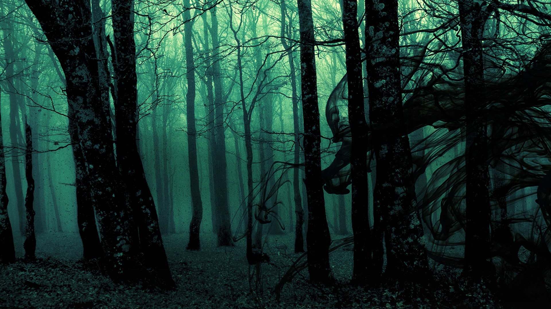 Download mobile wallpaper Dark, Forest, Tree for free.