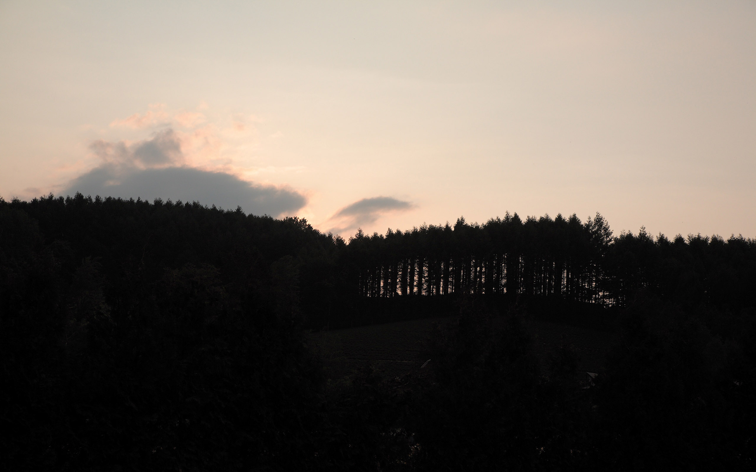 Handy-Wallpaper Dunkel, Wald, Himmel, Sonnenuntergang, Erde/natur kostenlos herunterladen.