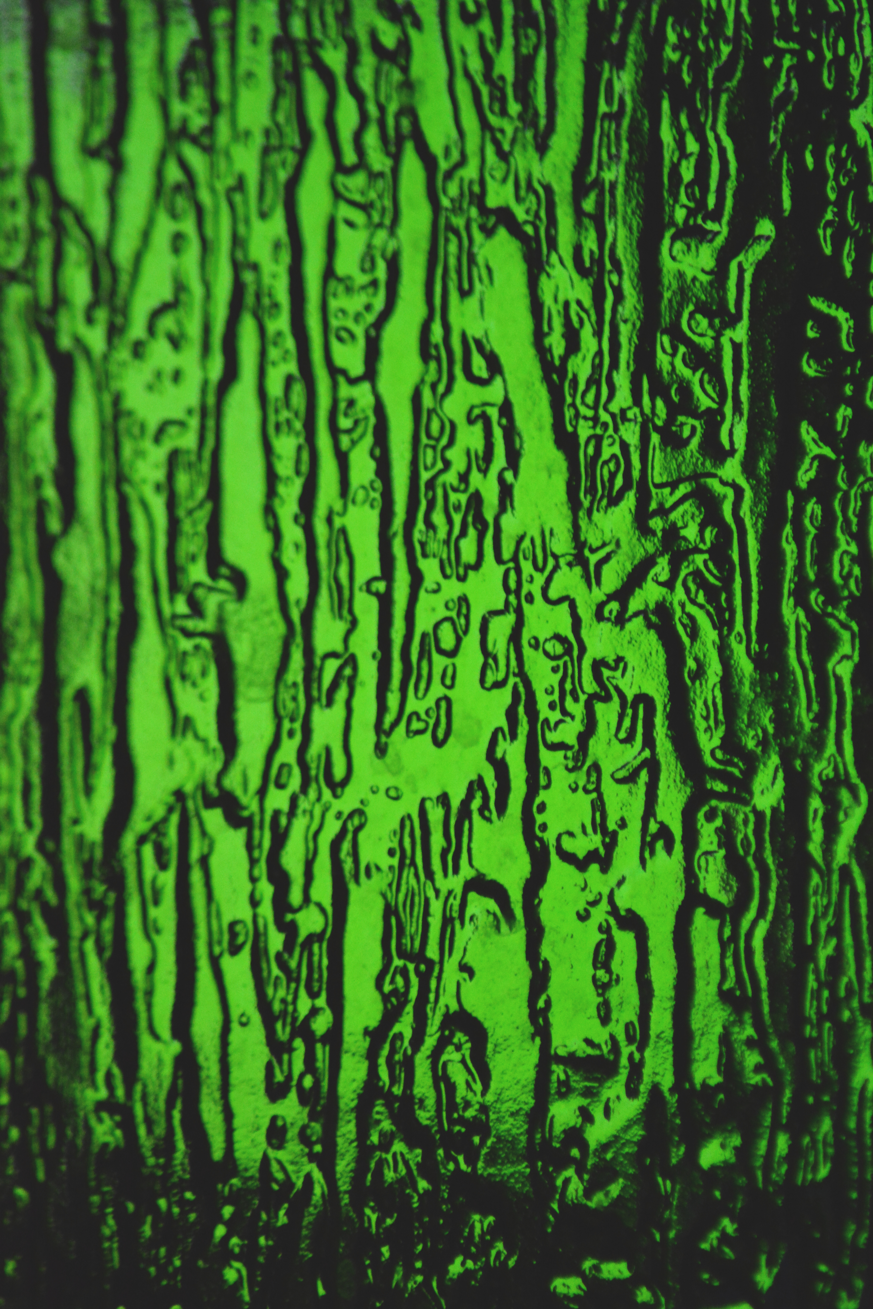 115587壁紙のダウンロード緑, テクスチャ, テクスチャー, 表面, 安心, 上げられた-スクリーンセーバーと写真を無料で