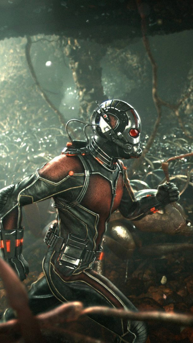 Handy-Wallpaper Filme, Ant Man kostenlos herunterladen.