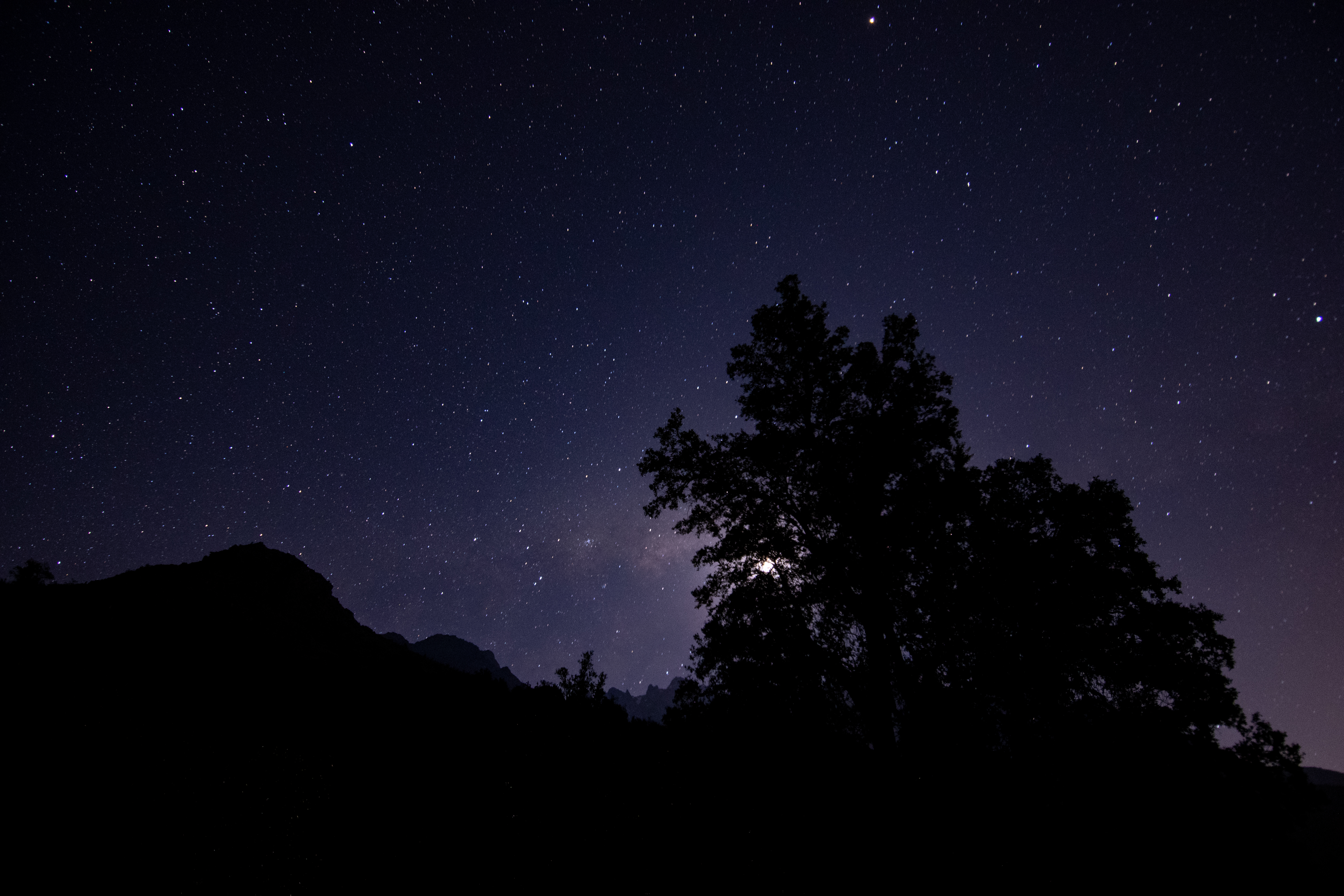 Download mobile wallpaper Night, Trees, Starry Sky, Silhouette, Dark for free.