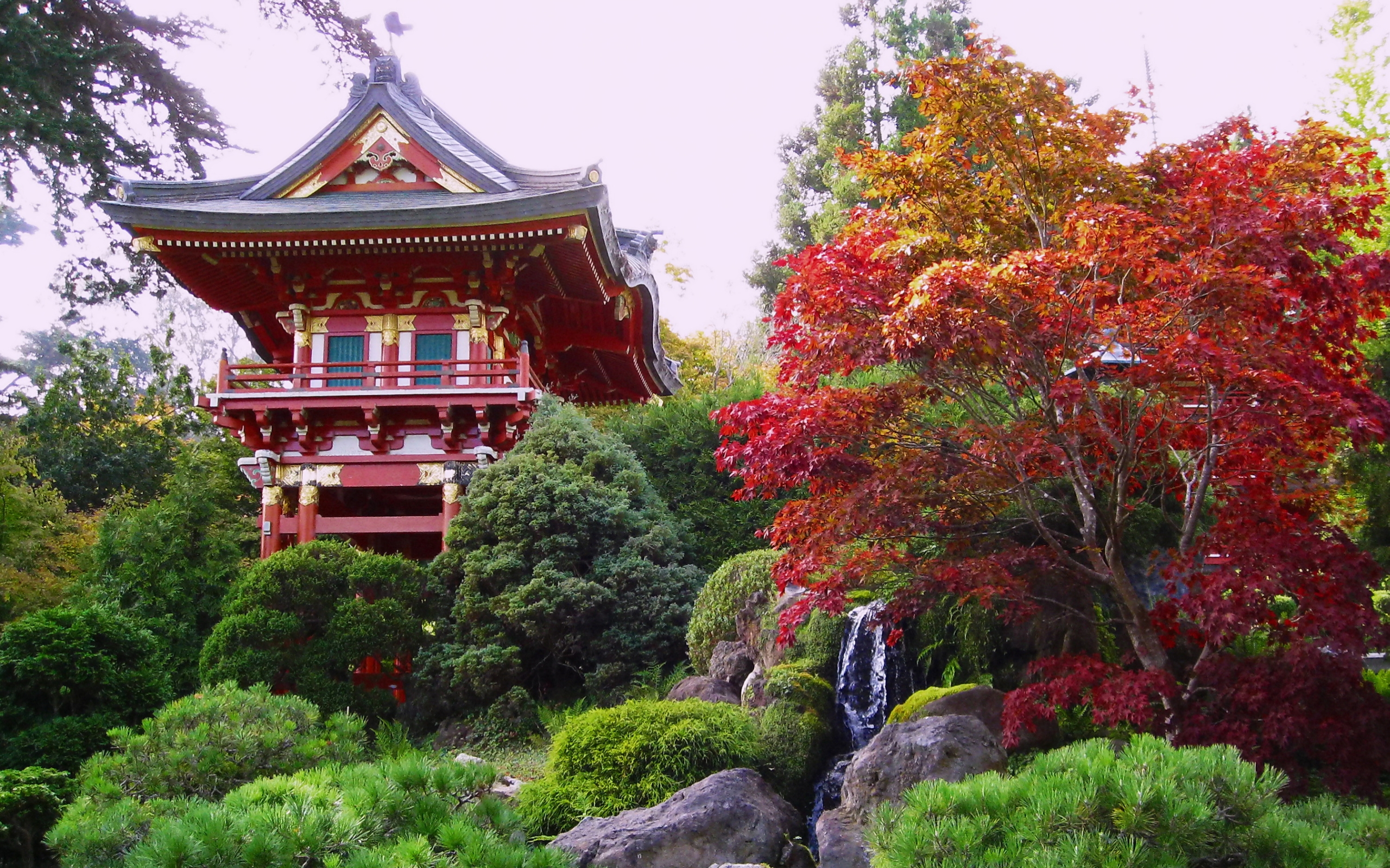 662573 Bild herunterladen menschengemacht, golden gate park - Hintergrundbilder und Bildschirmschoner kostenlos