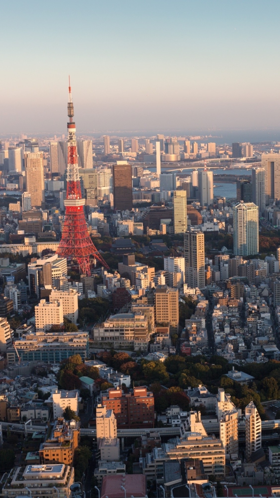 Скачать картинку Города, Япония, Токио, Сделано Человеком в телефон бесплатно.