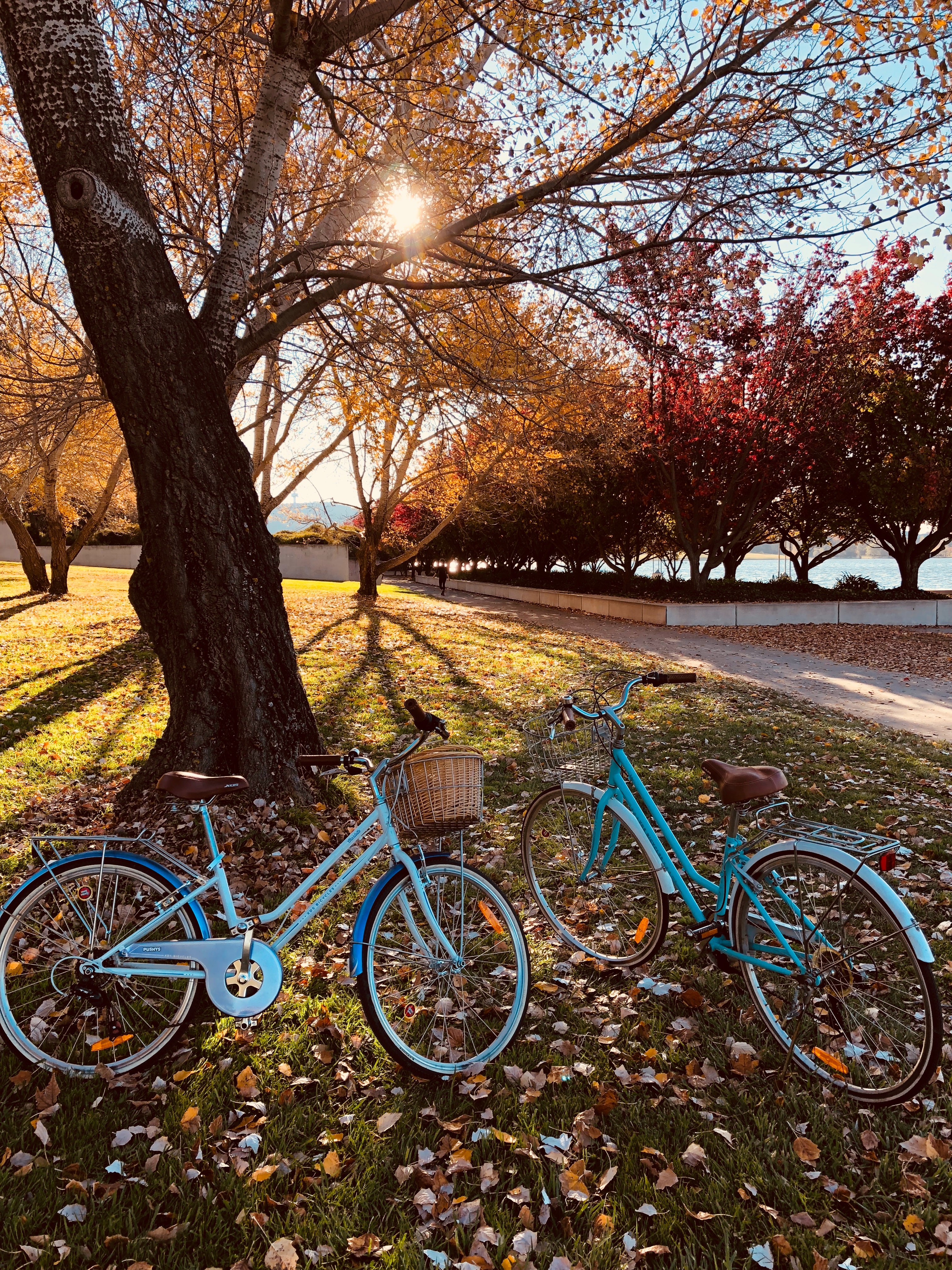 autumn park, stroll, bicycles, miscellanea, miscellaneous HD wallpaper