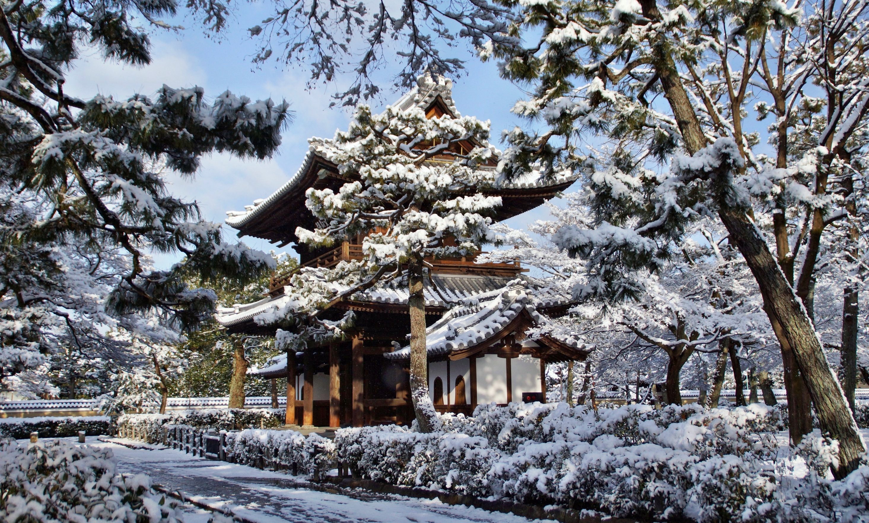 342515 Hintergrundbild herunterladen religiös, kennin ji tempel, kyōto, tempel, winter - Bildschirmschoner und Bilder kostenlos