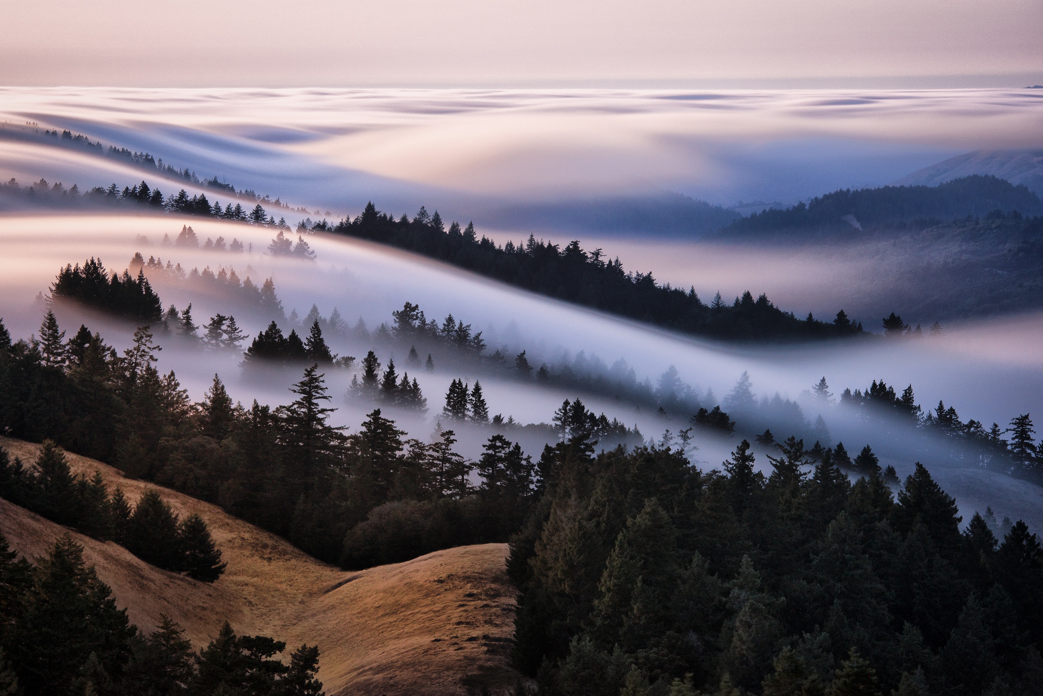 Laden Sie das Nebel, Erde/natur, Wolkenmeer-Bild kostenlos auf Ihren PC-Desktop herunter