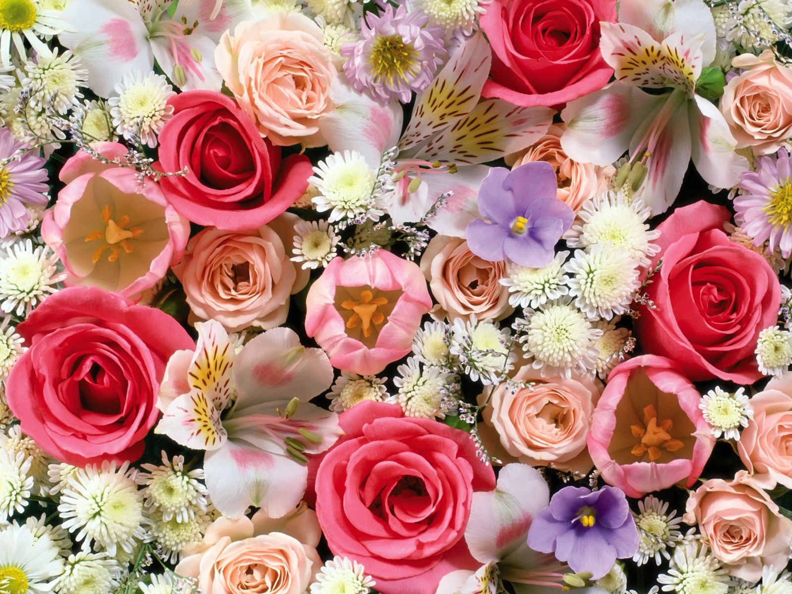 52603 завантажити шпалери квіти, рози, тюльпани, лілії, асорті - заставки і картинки безкоштовно