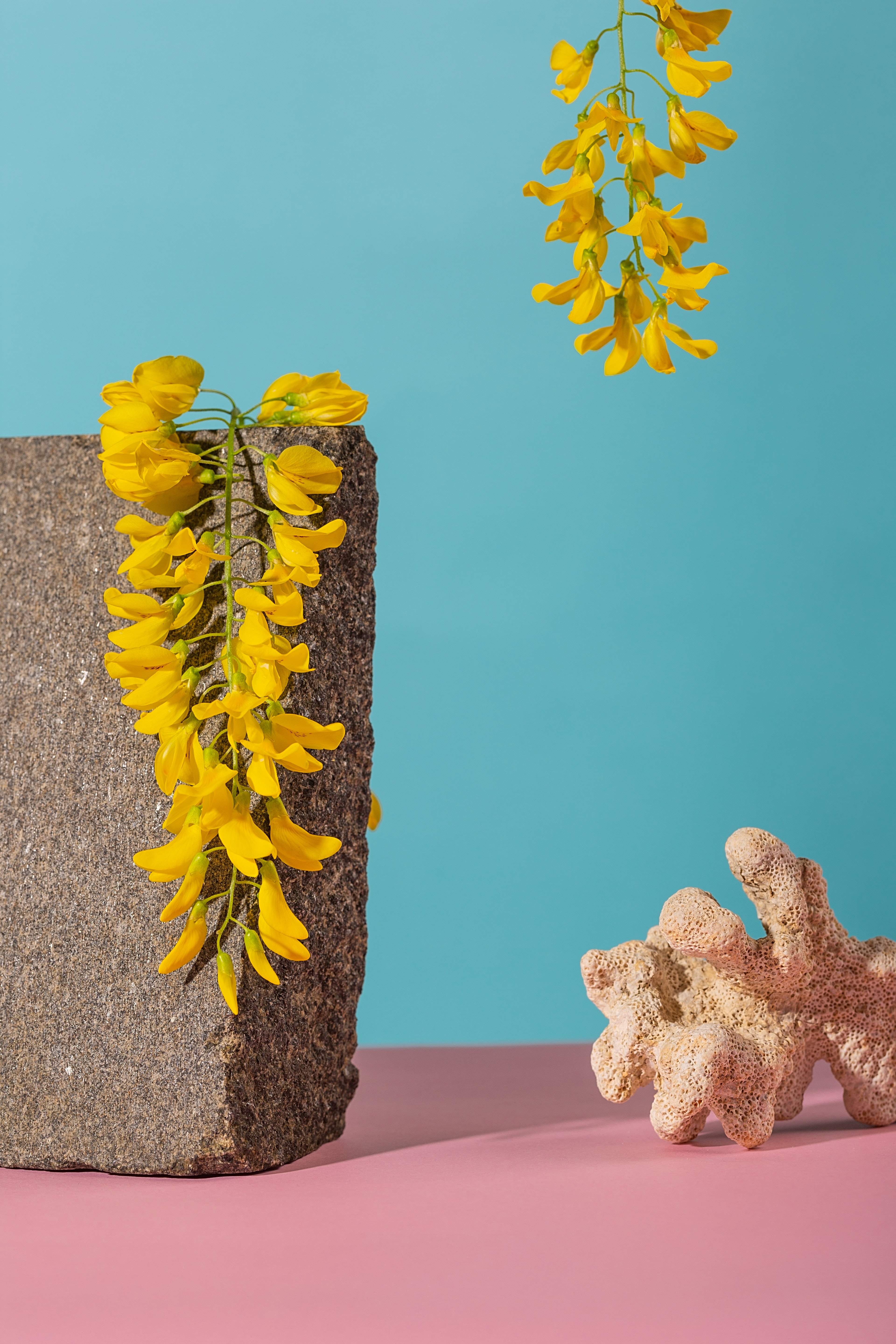 brick, flowers, pink, still life, coral, blue, miscellanea, miscellaneous Phone Background