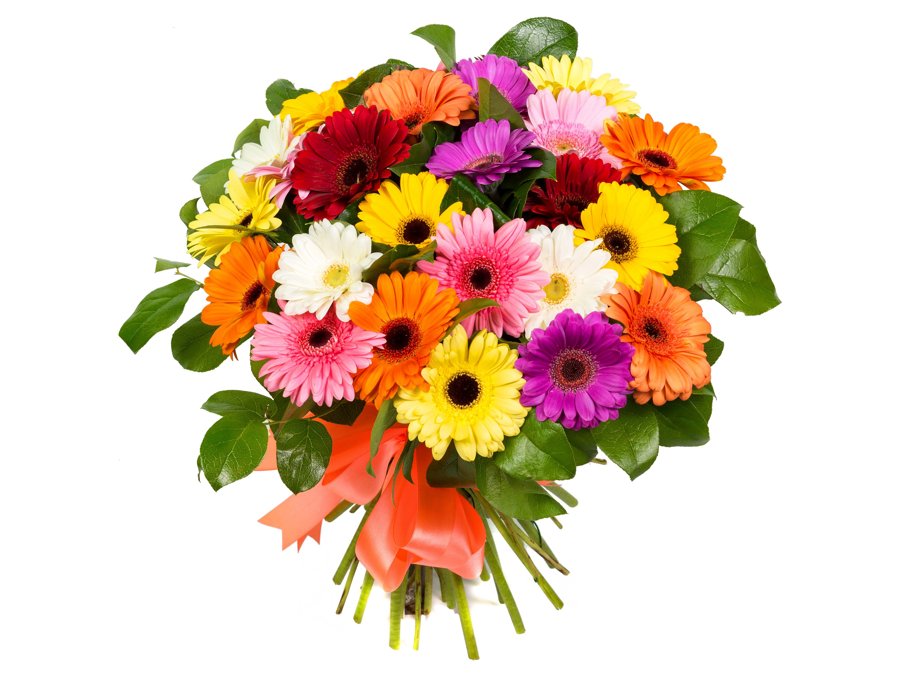 man made, flower, bouquet, colorful, colors, gerbera, orange flower, purple flower, red flower, ribbon, stem, white flower