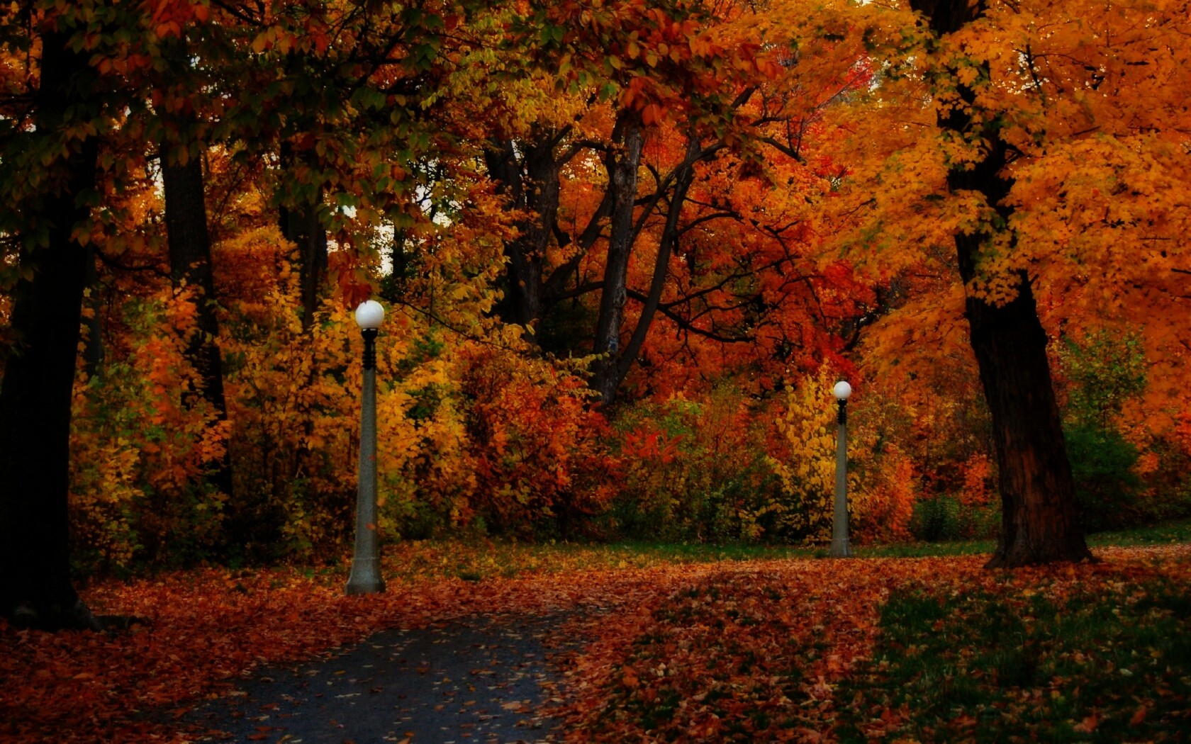 1503264 descargar imagen linterna, hecho por el hombre, camino, otoño, hoja, parque: fondos de pantalla y protectores de pantalla gratis